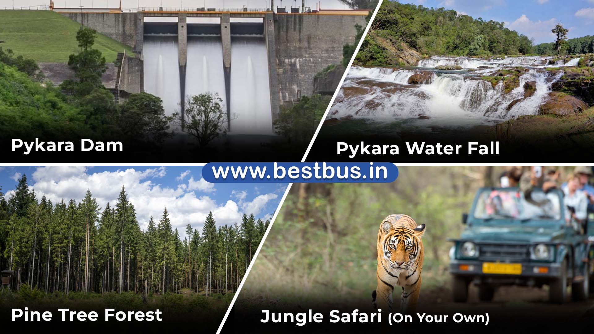 Bangalore To Mysore Ooty Coonoor Coorg Madikeri Abbey Falls VISIT PLACE 05