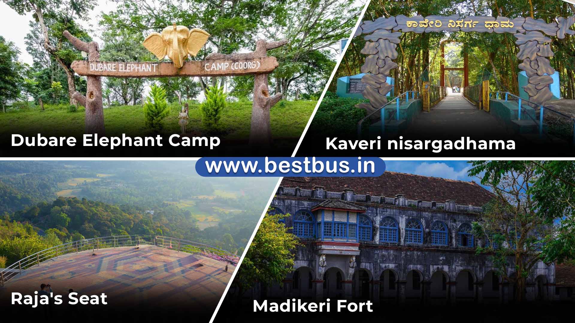 Bangalore To Mysore Ooty Coonoor Coorg Madikeri Abbey Falls VISIT PLACE 08