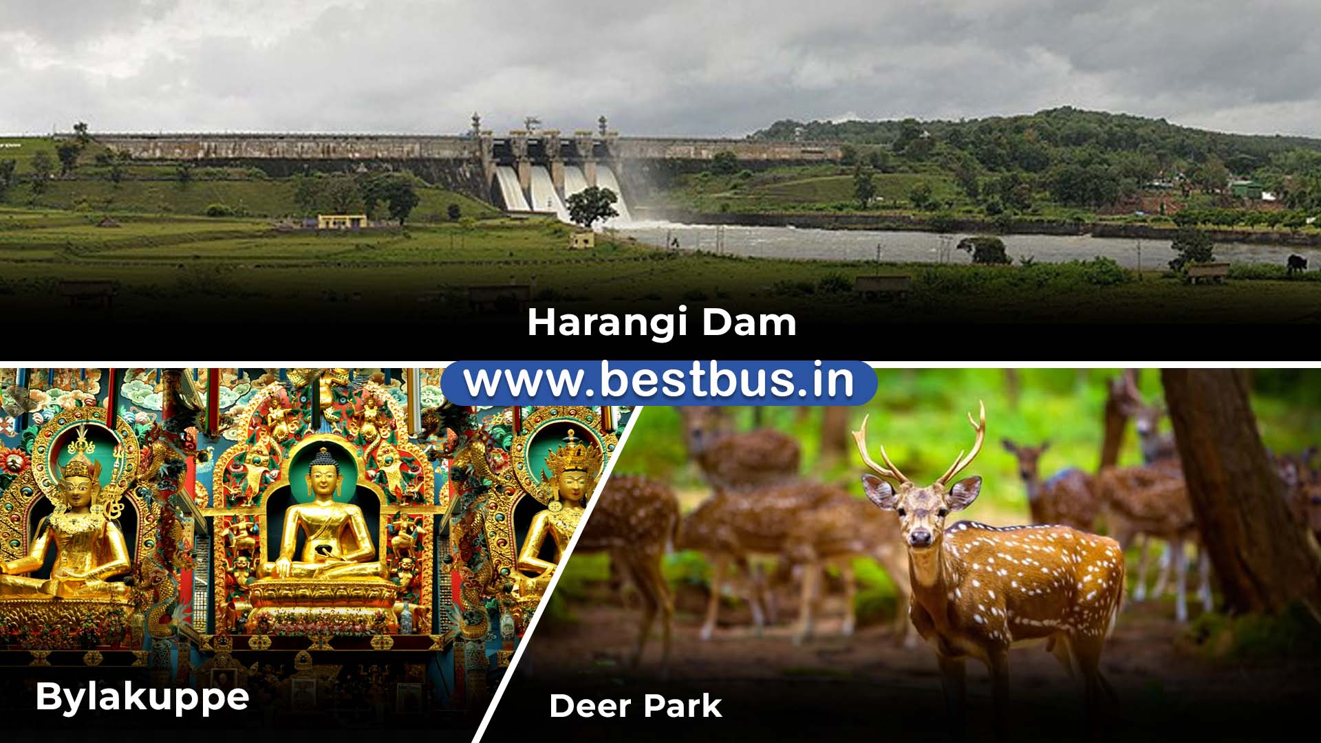 Bangalore To Mysore Ooty Coonoor Coorg Madikeri Abbey Falls VISIT PLACE 10