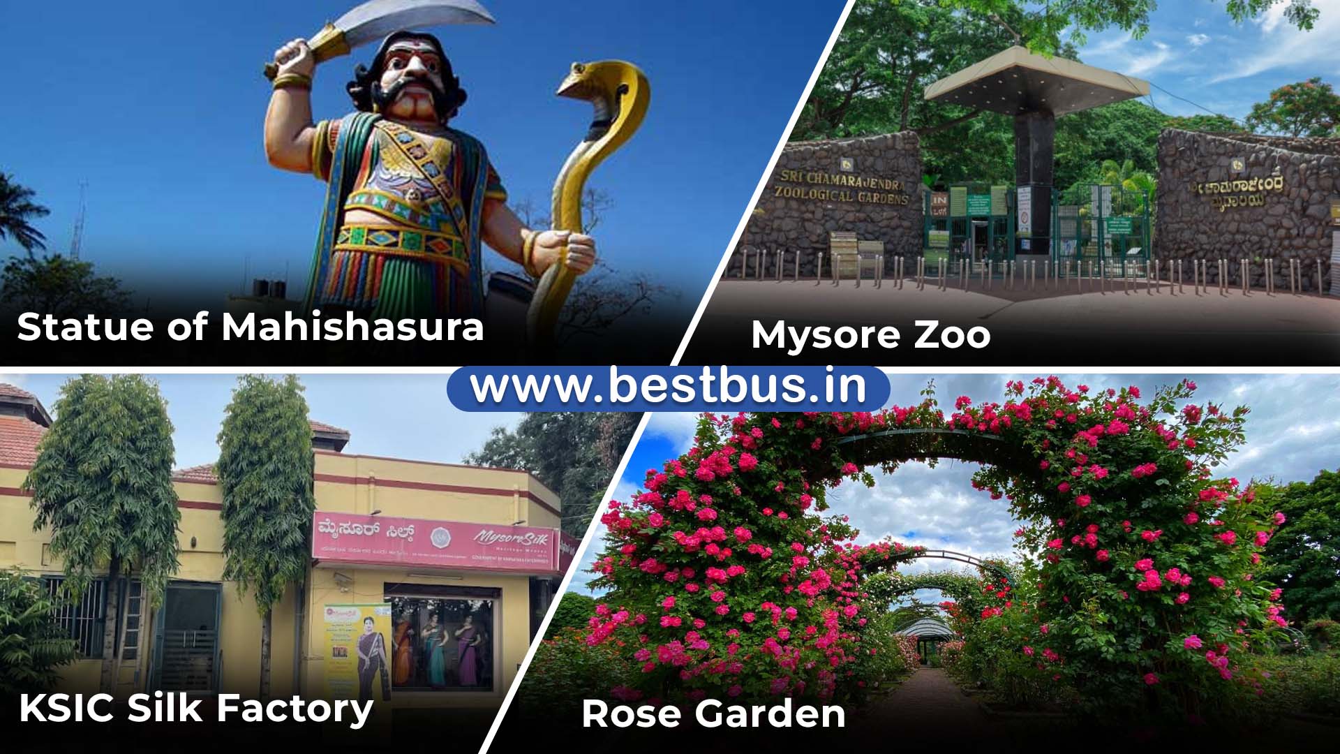 Bangalore To Mysore Ooty Coonoor Coorg Madikeri Abbey Falls visit place 3