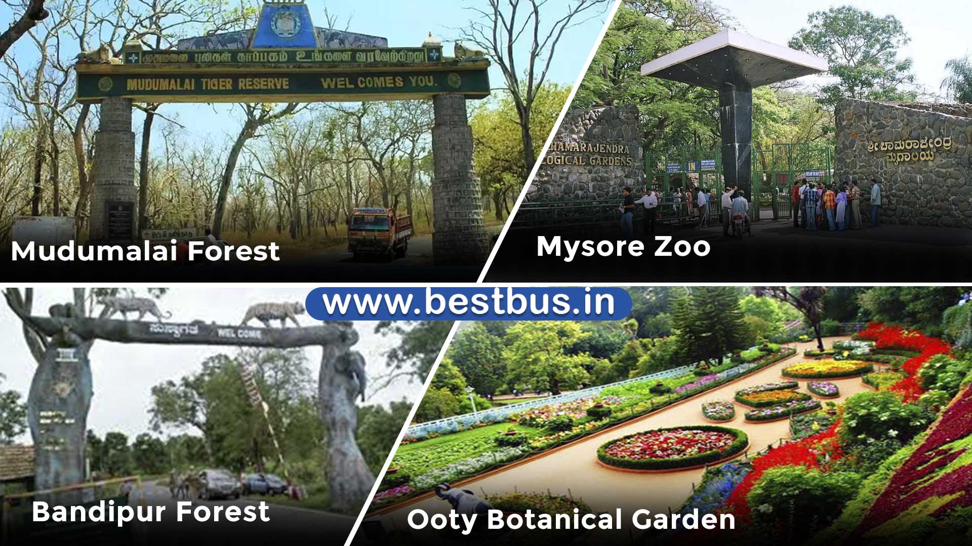 Bangalore To Mysore Ooty Coonoor Filmy Chakkar - 3 Nights-4 Days Tour Package By Car 04