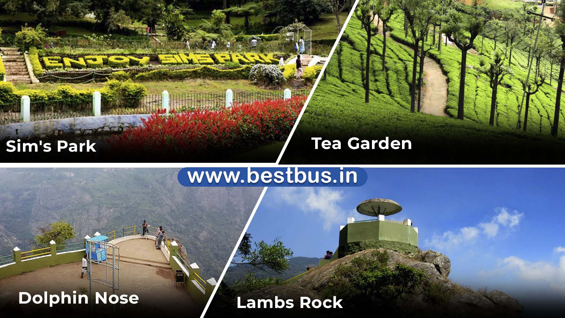 Bangalore To Mysore Ooty Coonoor Filmy Chakkar - 3 Nights-4 Days Tour Package By Car 06