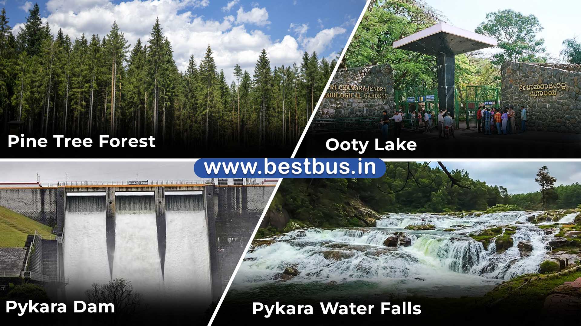 Bangalore To Mysore Ooty Coonoor Filmy Chakkar 4 Nights 5 Days Tour Package 06