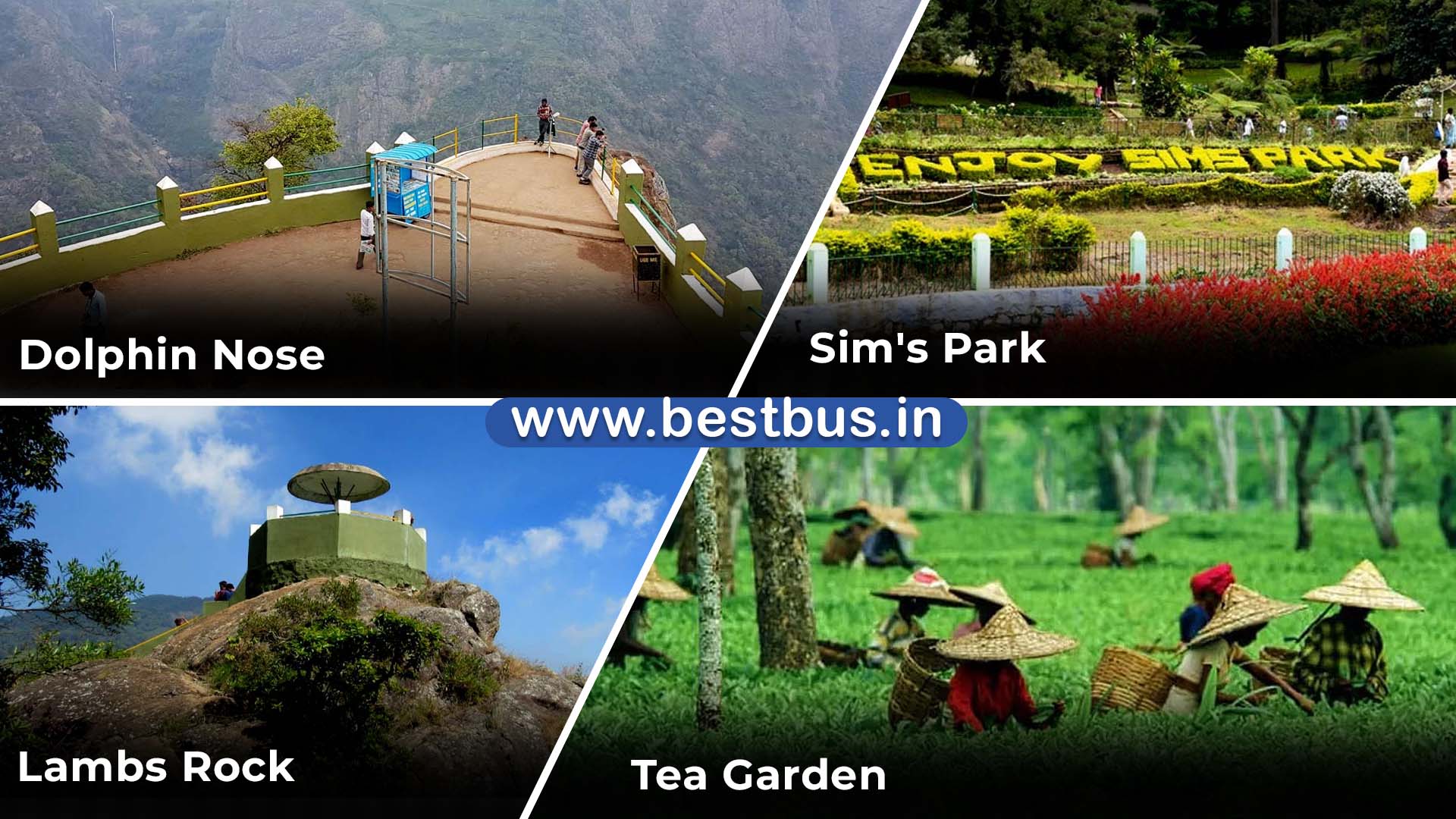 Bangalore To Mysore Ooty Coonoor Filmy Chakkar 4 Nights 5 Days Tour Package 07