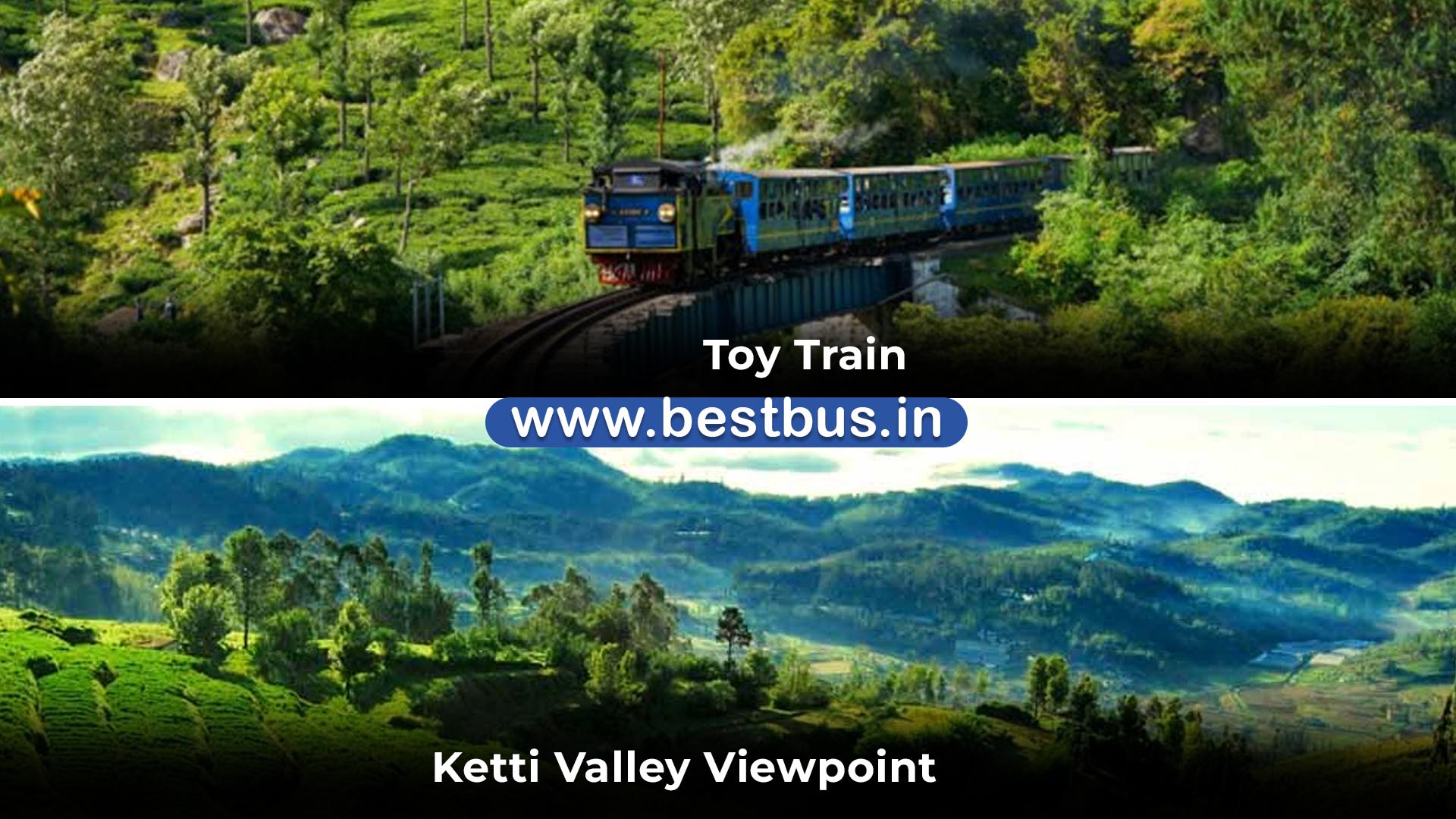 Bangalore To Mysore Ooty Coonoor Filmy Chakkar 4 Nights 5 Days Tour Package 09