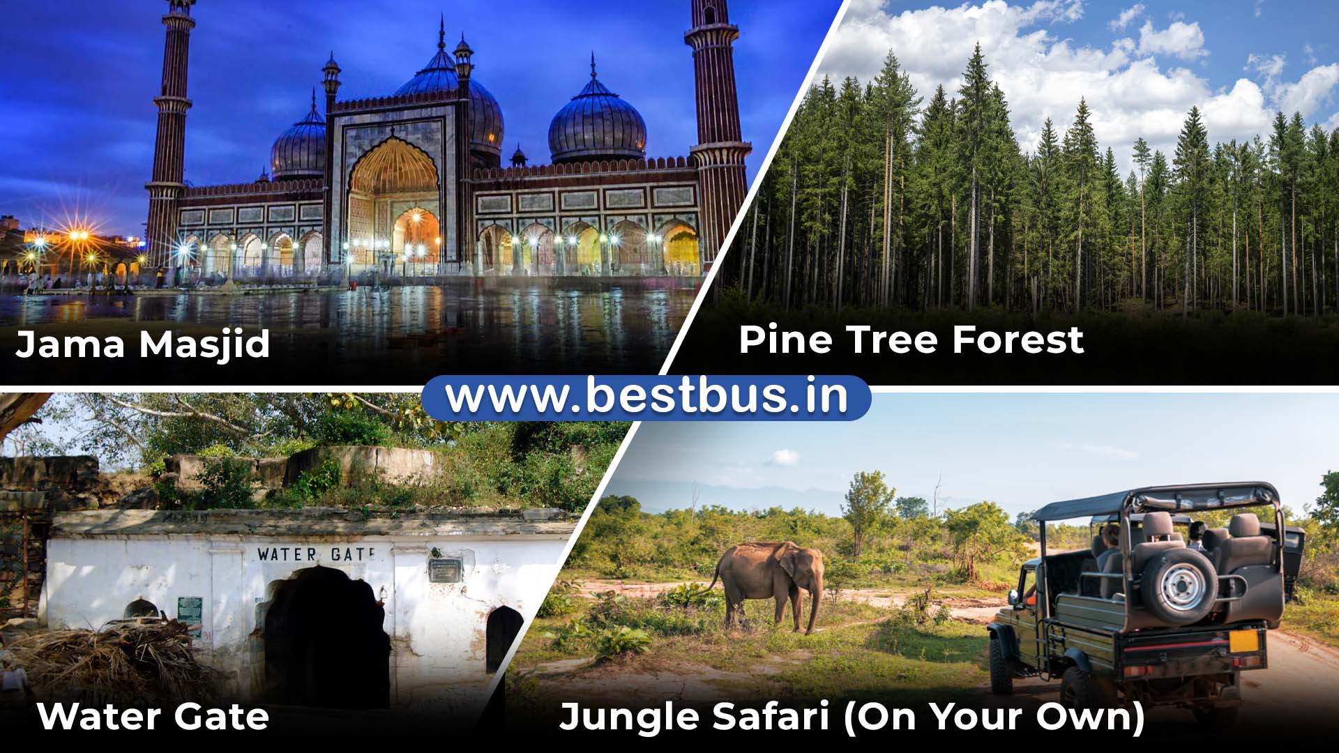Bangalore To Mysore Ooty Coonoor Isha Foundation 3 Nights 4 Days Tour Package By Car 06