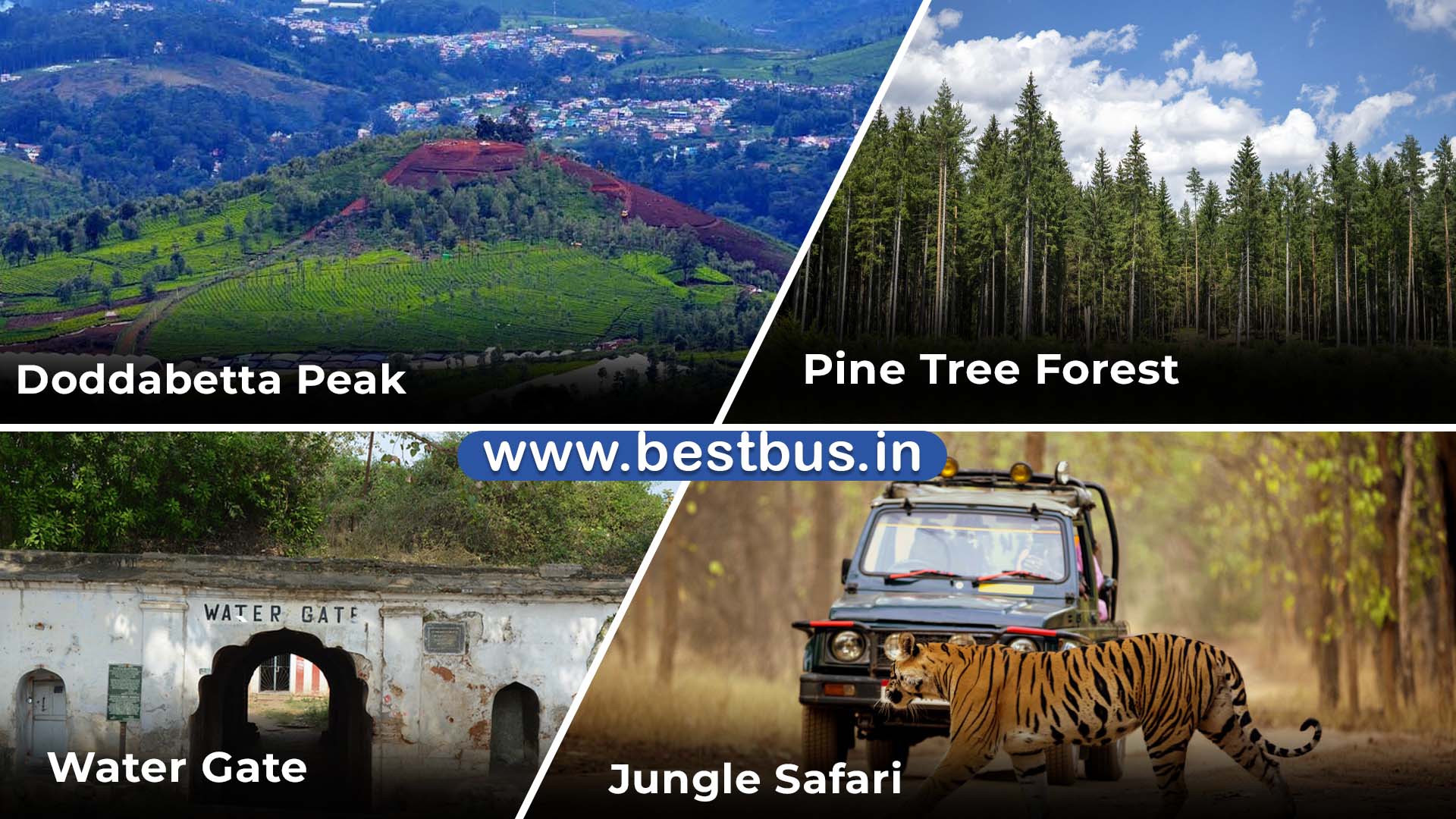 Bangalore To Mysore Ooty Coonoor Isha Foundation Bangalore 4 Nights 5 Days Tour Package By Car 10