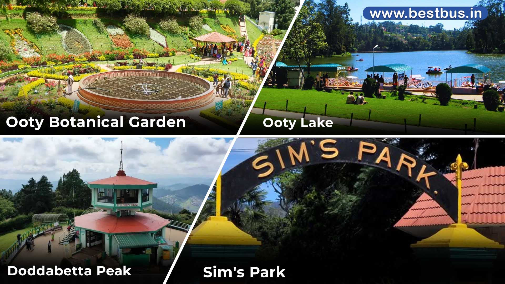 Bangalore To Mysore Ooty Coonoor Isha Foundation Tour Package visit place 3