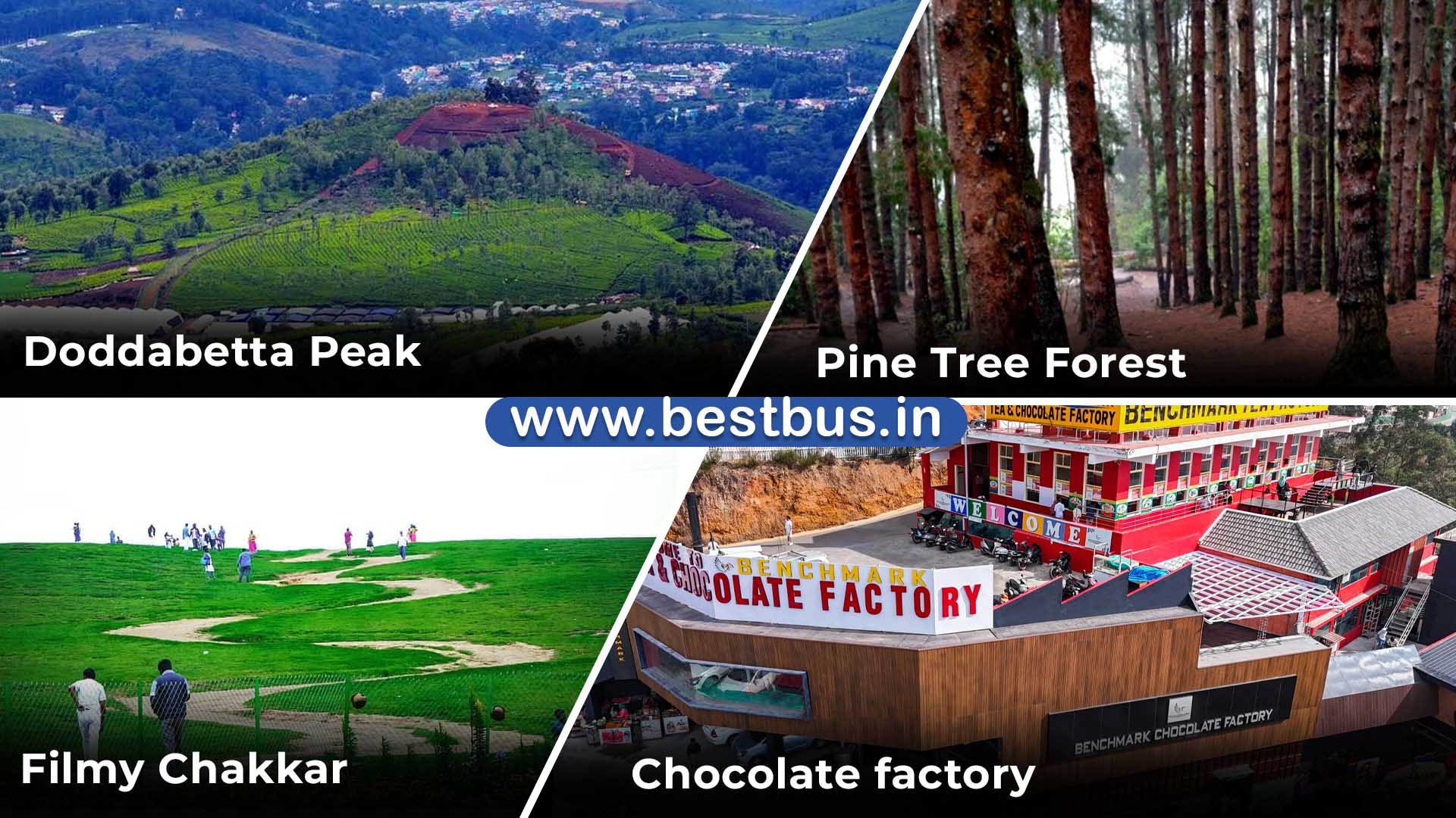Bangalore To Mysore Wayanad Ooty Coonoor Isha Foundation 05
