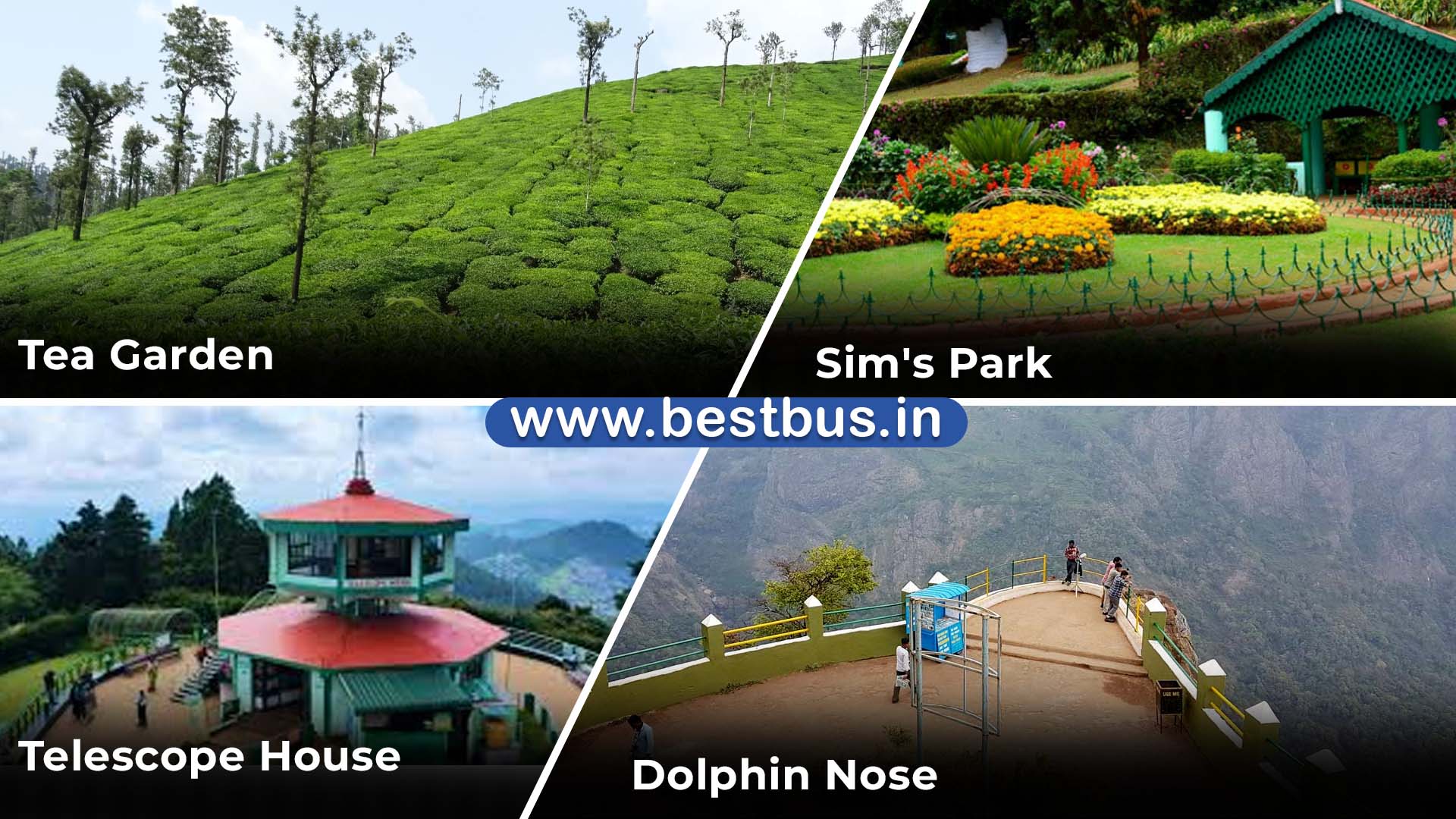 Bangalore To Mysore Wayanad Ooty Coonoor Isha Foundation 06