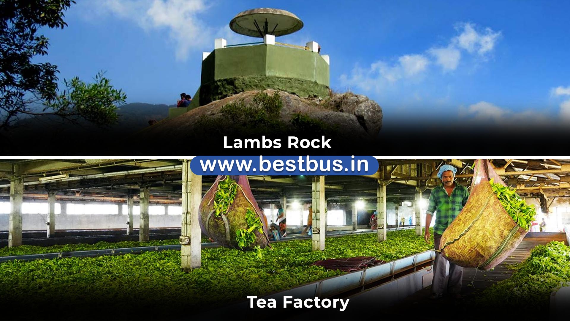 Bangalore To Mysore Wayanad Ooty Coonoor Isha Foundation 07