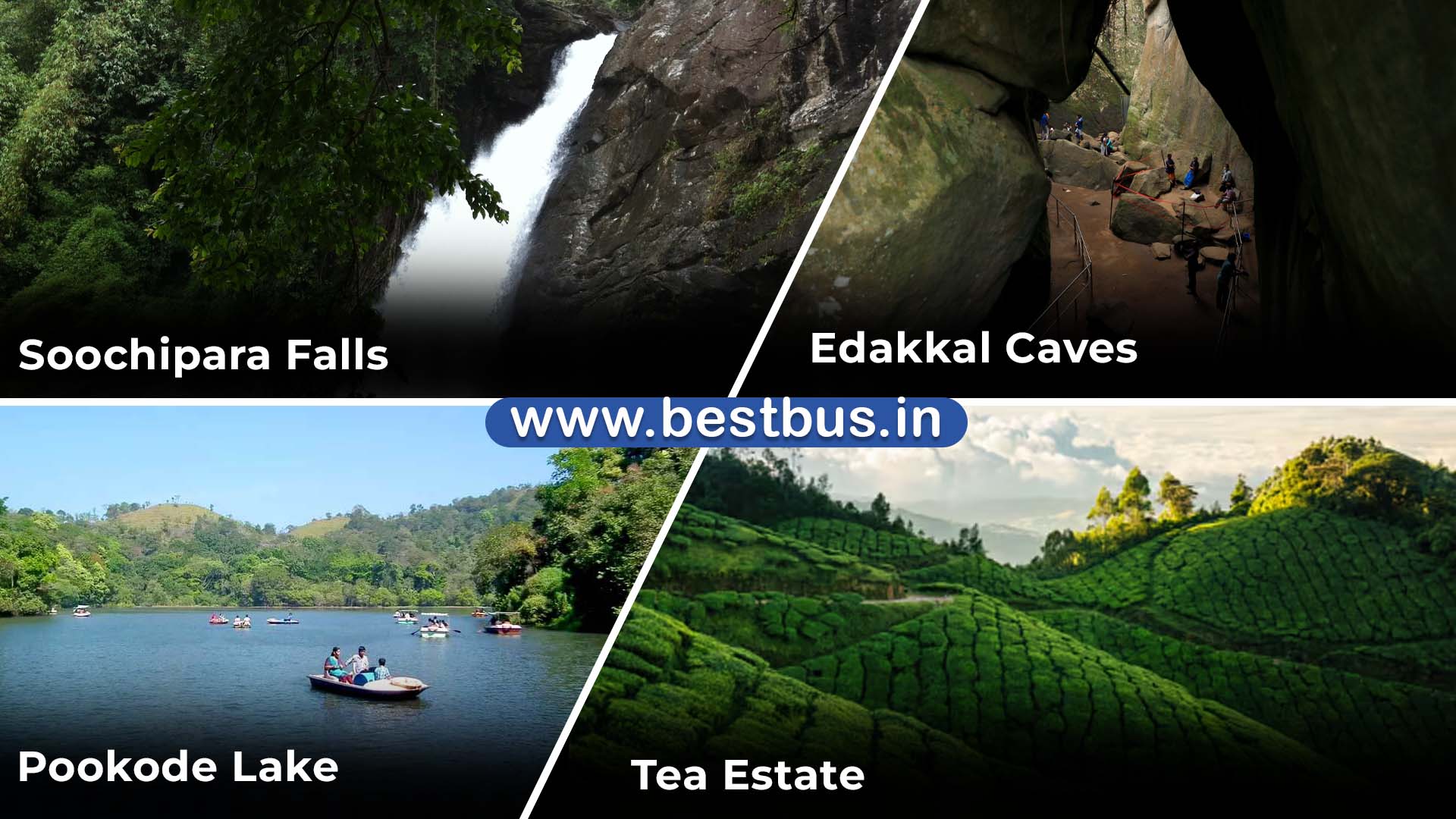 Bangalore To Mysore Wayanad Ooty Coonoor Isha Foundation 5 Nights 6 Days Tour Package 08