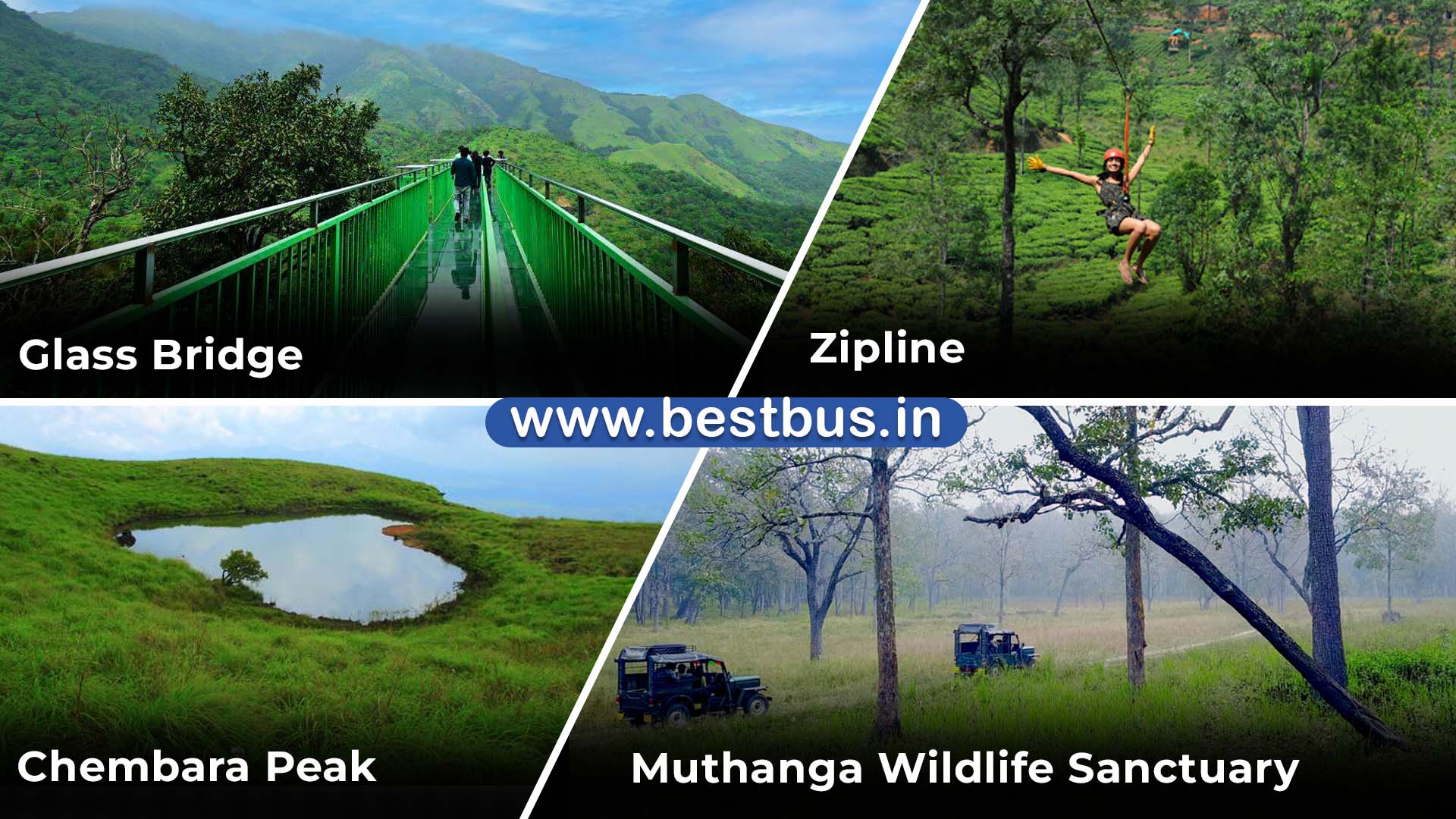 Bangalore To Mysore Wayanad Ooty Coonoor Isha Foundation 5 Nights 6 Days Tour Package 09