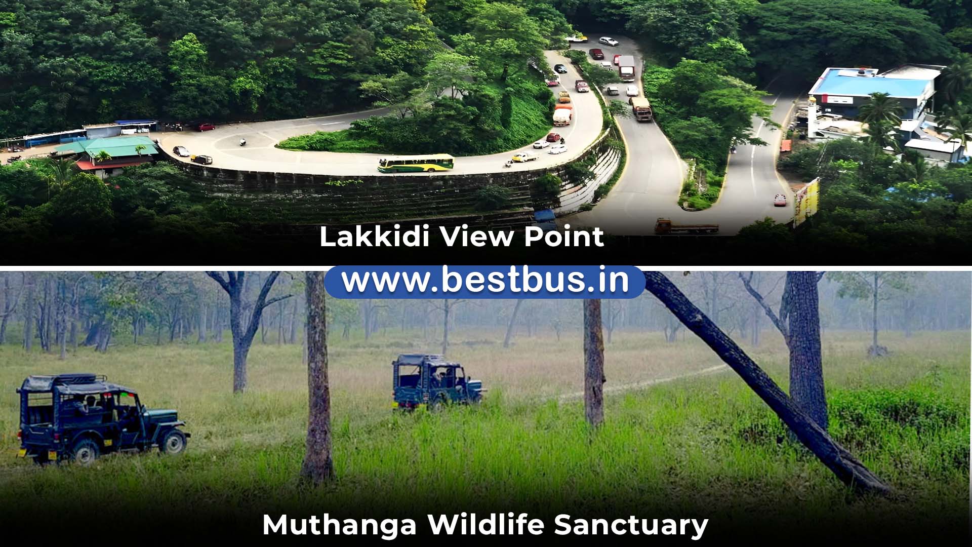 Bangalore To Mysore Wayanad Ooty Coonoor Isha Foundation 5 Nights 6 Days Tour Package By Car 07