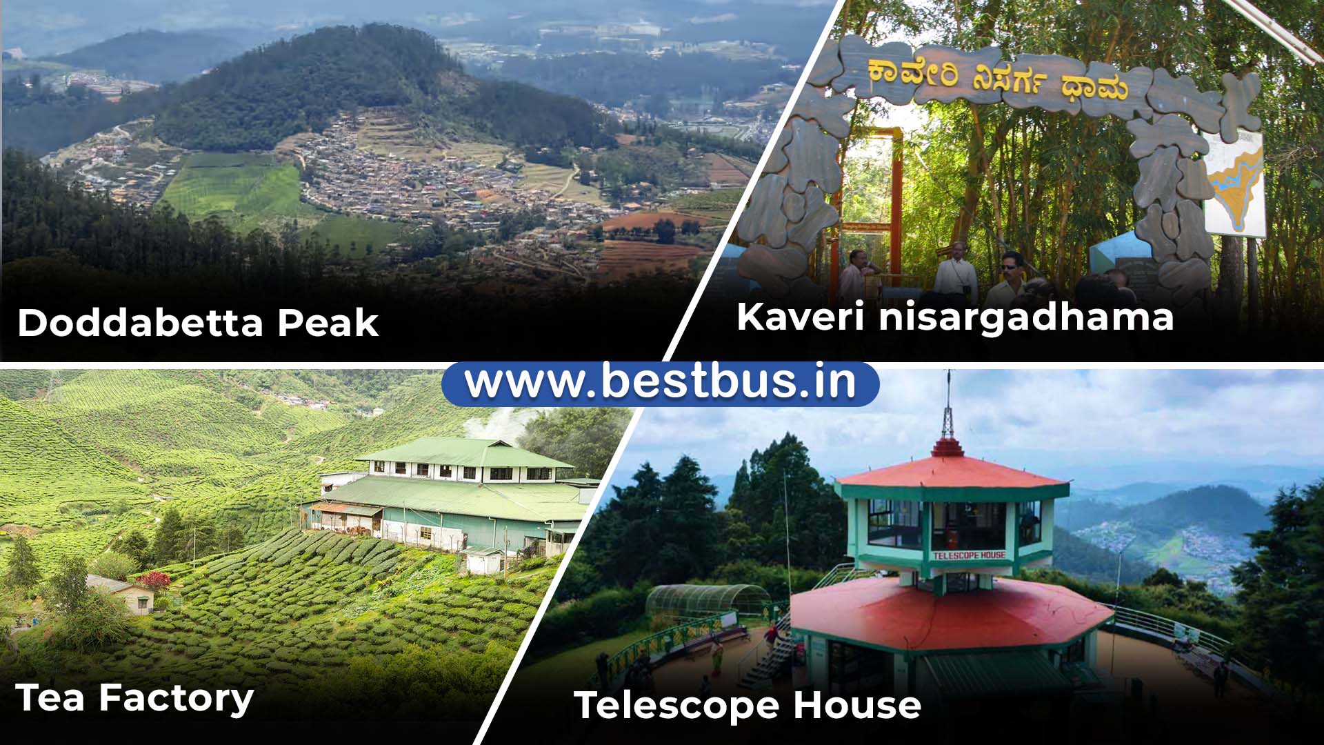 Bangalore To Ooty Coonoor Coorg Madikeri Abbey Falls 3 Nights 4 Days Tour Package By Car 04