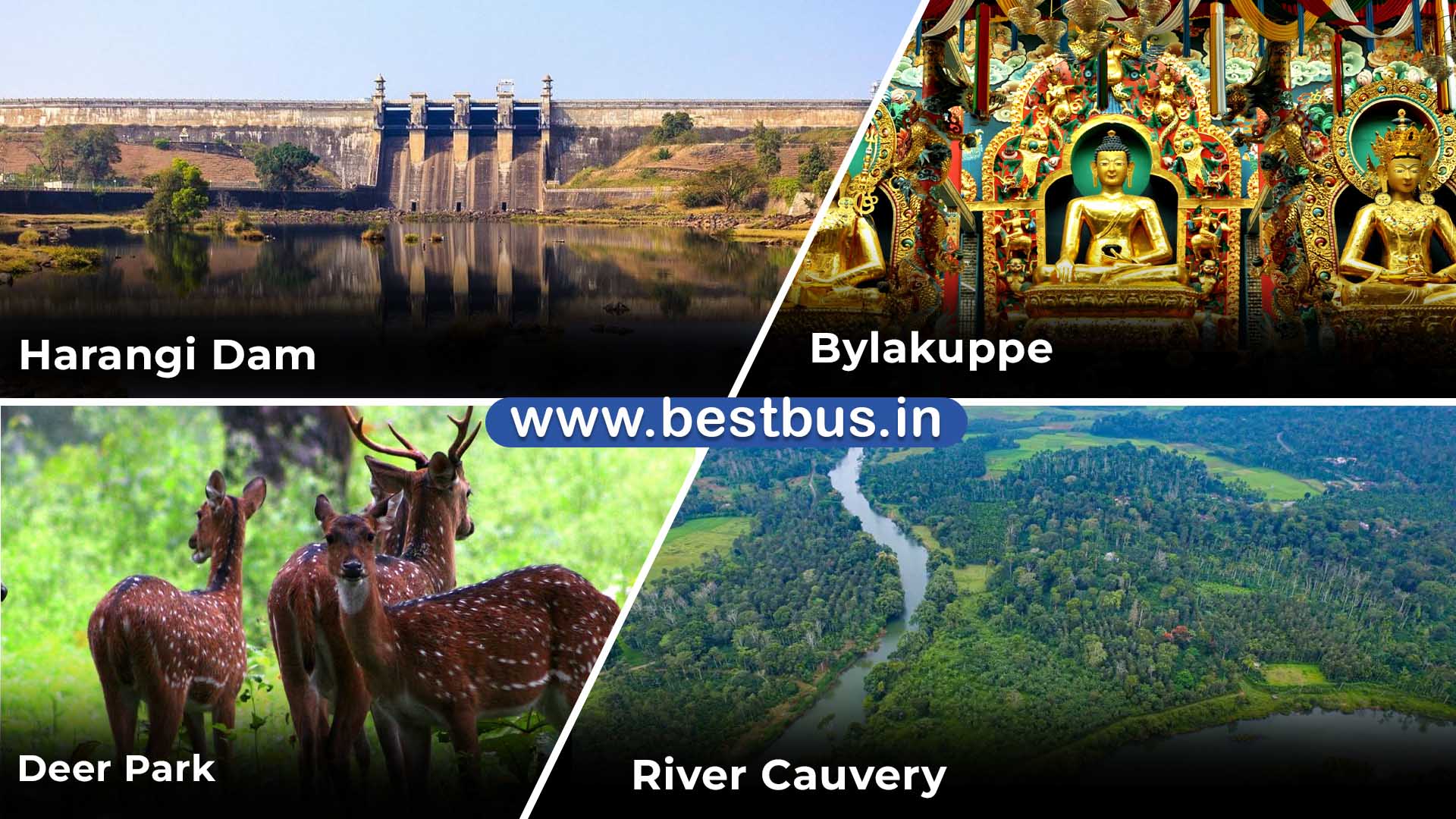 Bangalore To Ooty Coonoor Coorg Madikeri Abbey Falls 3 Nights 4 Days Tour Package By Car 07