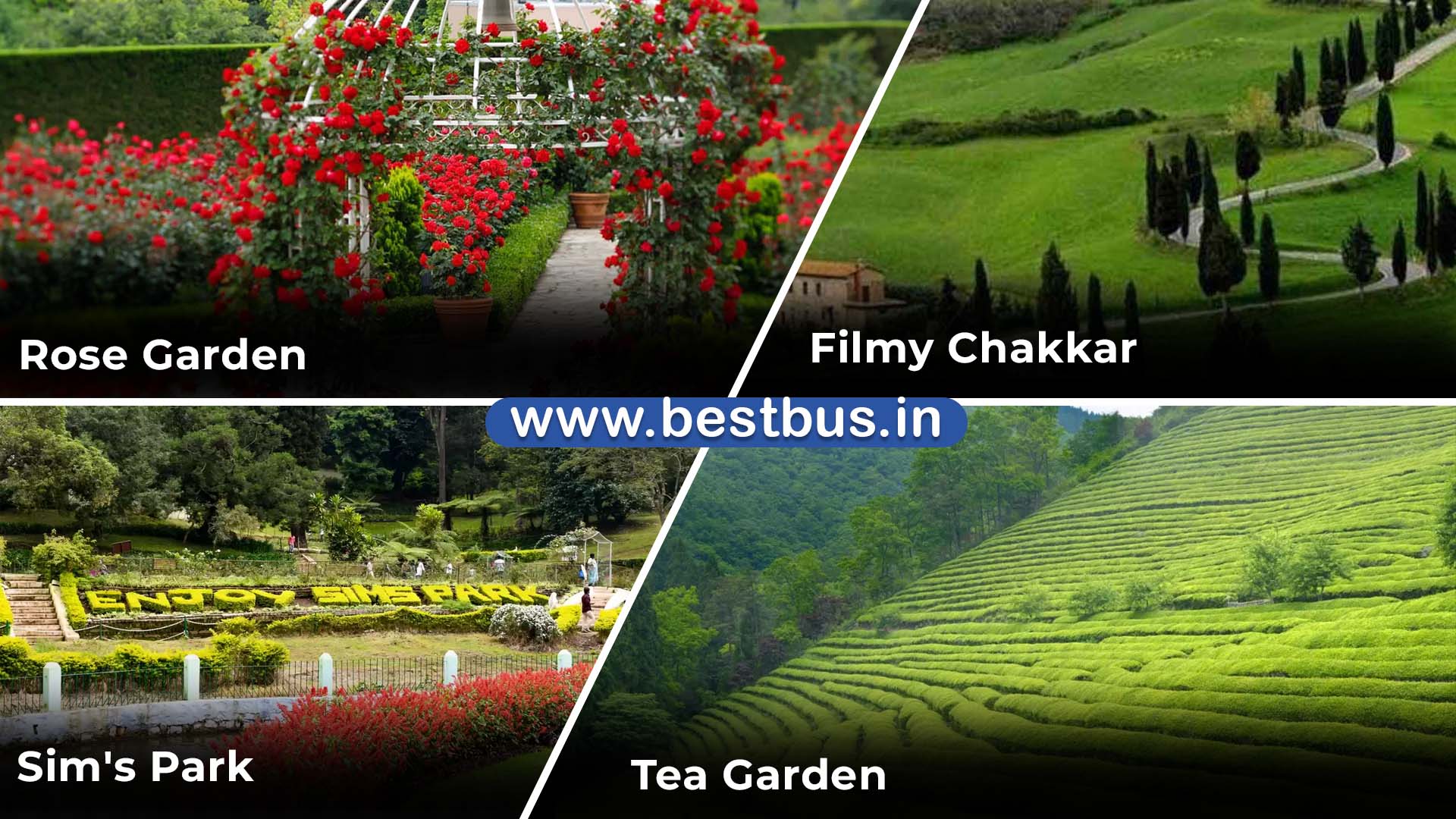 Bangalore To Ooty Coonoor Filmy Chakkar 3 Nights 4 Days Tour Package 04