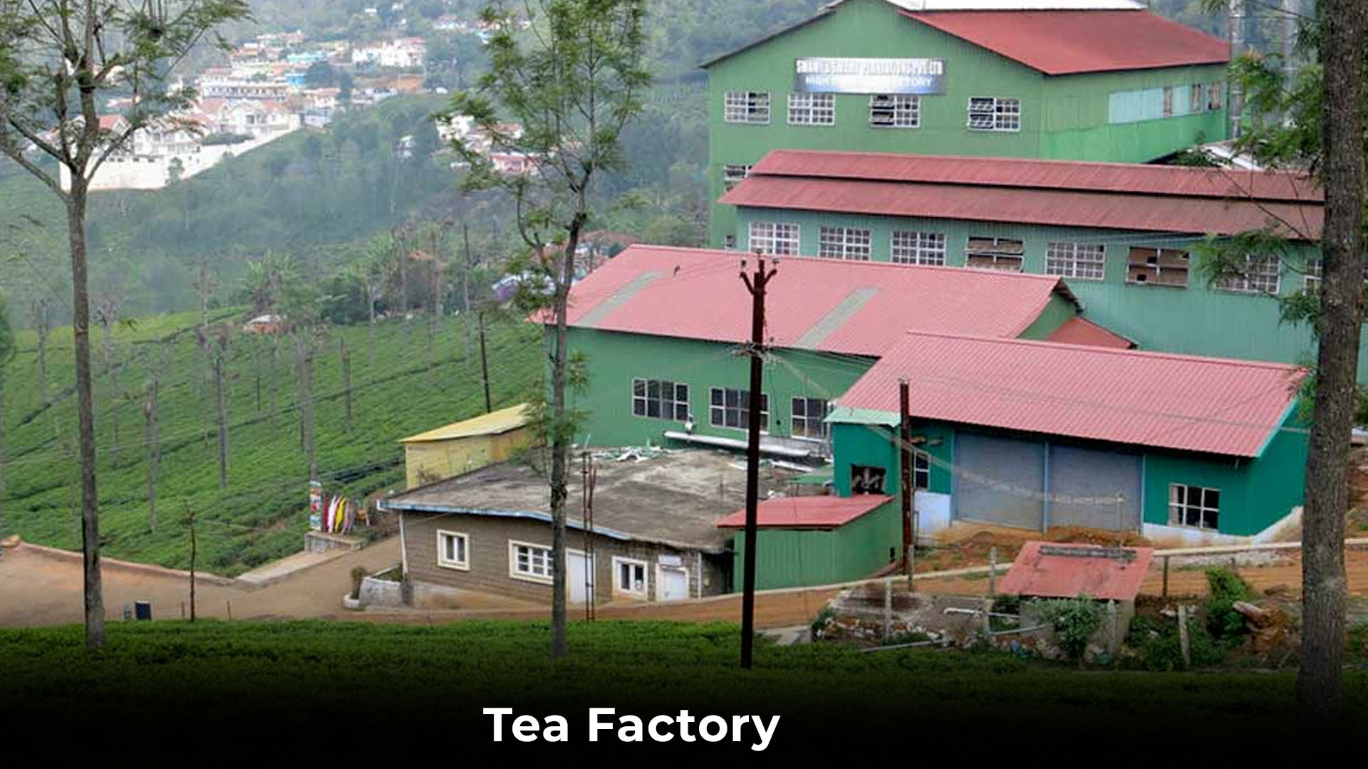 Bangalore To Ooty Coonoor Filmy Chakkar 3 Nights 4 Days Tour Package 06