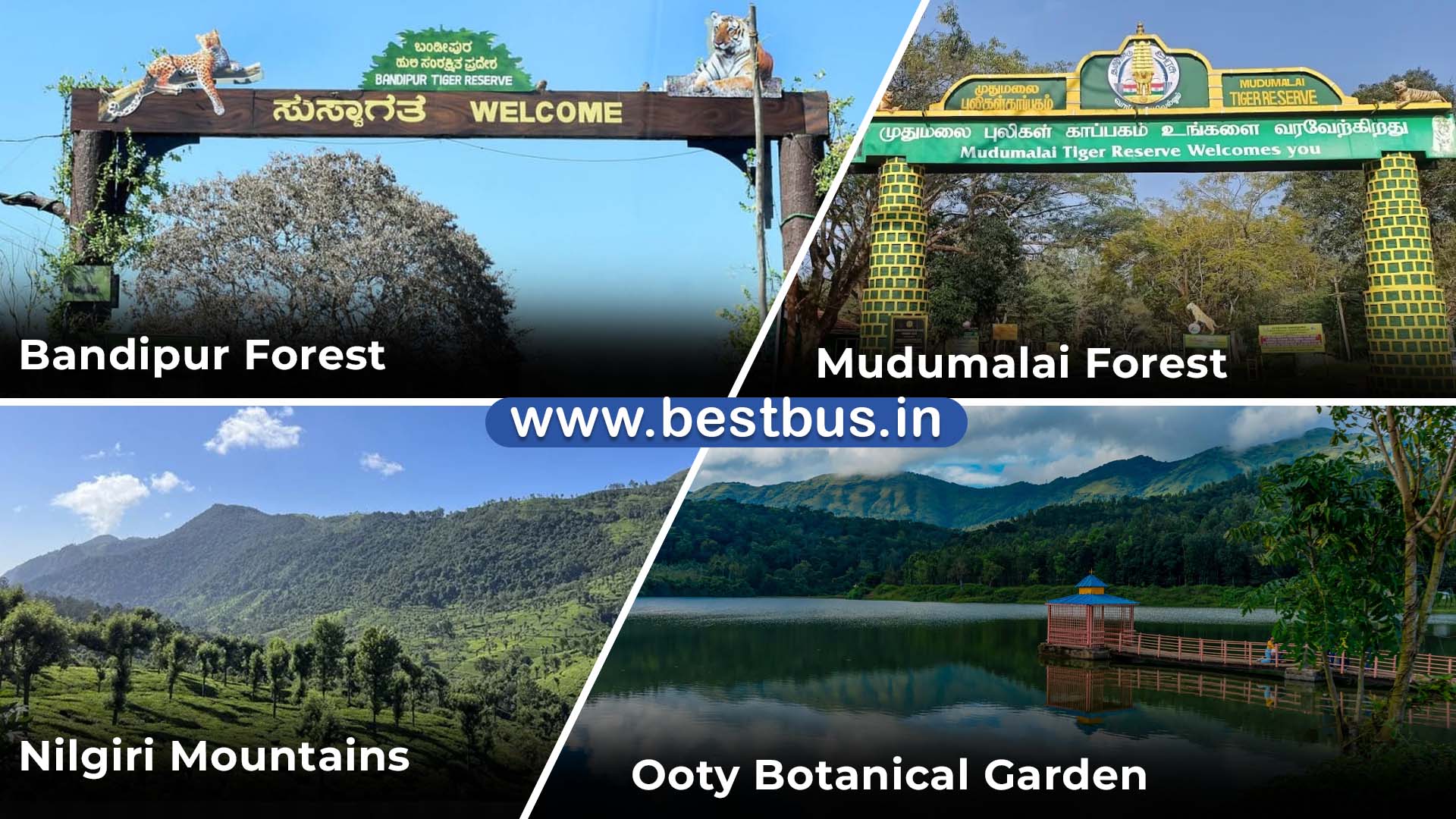 Bangalore To Ooty Coonoor Filmy Chakkar 3 Nights 4 Days Tour Package By Car 01