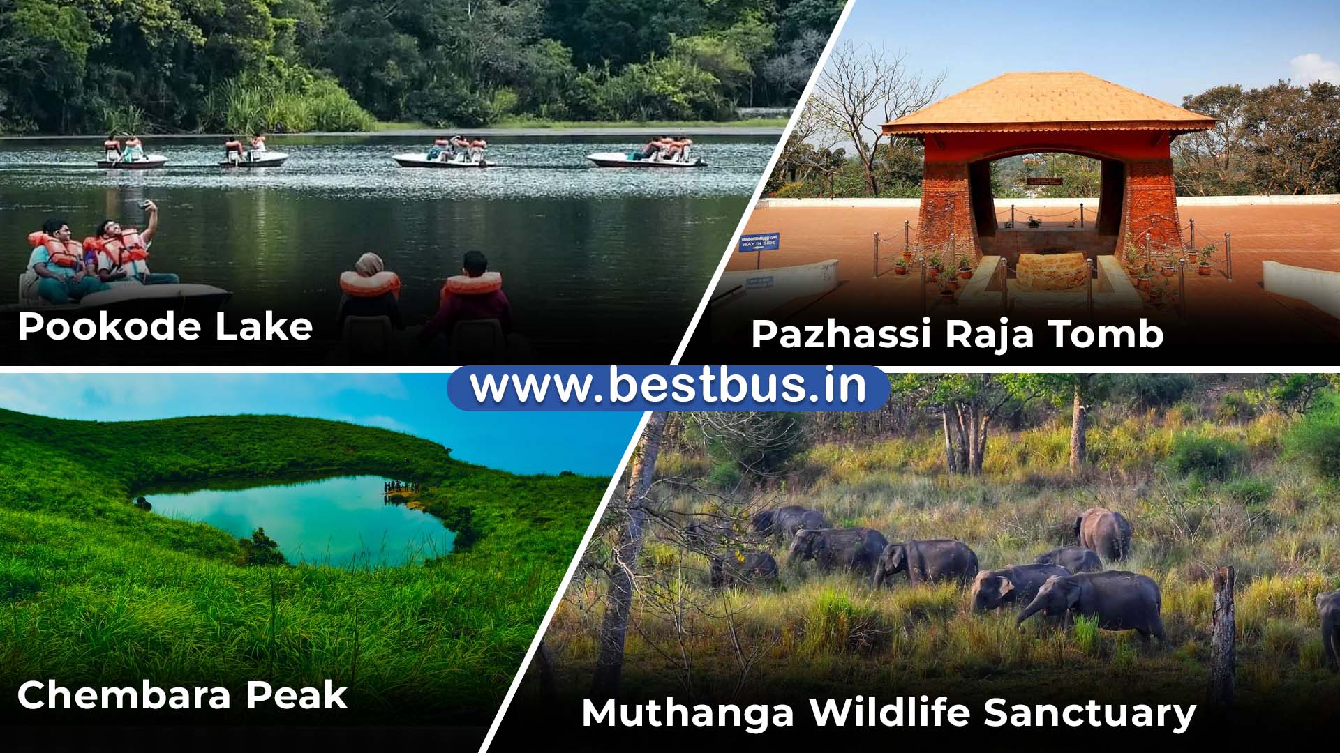 Bangalore To Wayanad 3 Nights 4 Days Tour Package visit place 2
