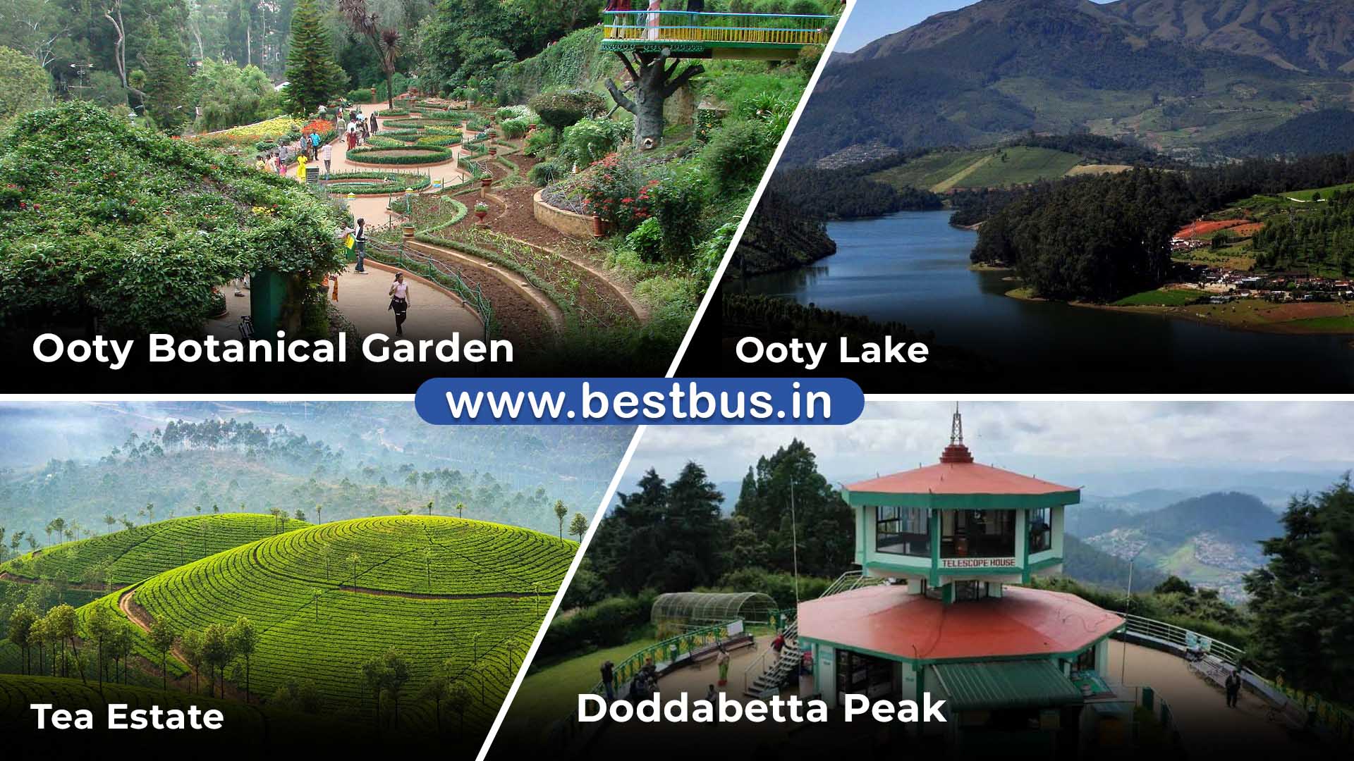 Blissful Mysore Coorg & Ooty Tour 02