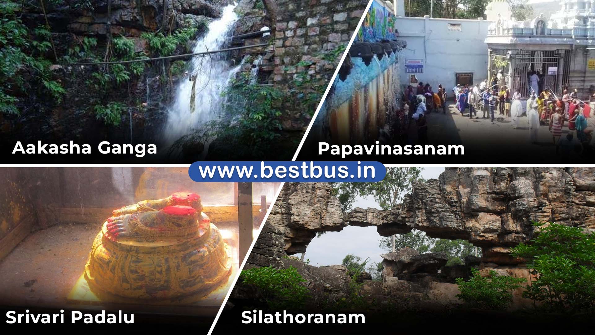 Chennai To Tirupati-Tirumala Darshan (SSD Token) Tiruchanur Srikalahasti Tour Package By Bus visit place 3
