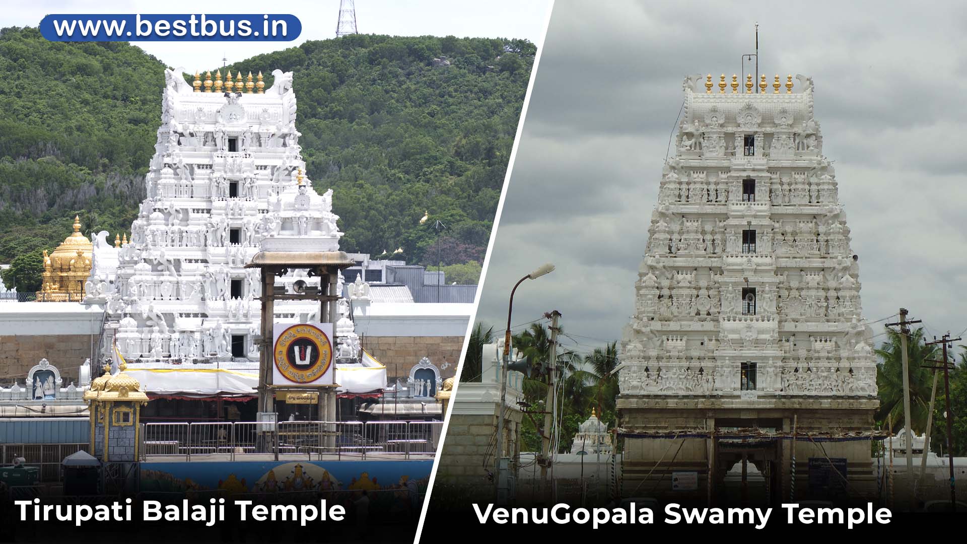 Chennai To Tirupati-Tirumala Darshan (SSD Token) Tiruchanur Srikalahasti Tour Package By Bus visit place 4
