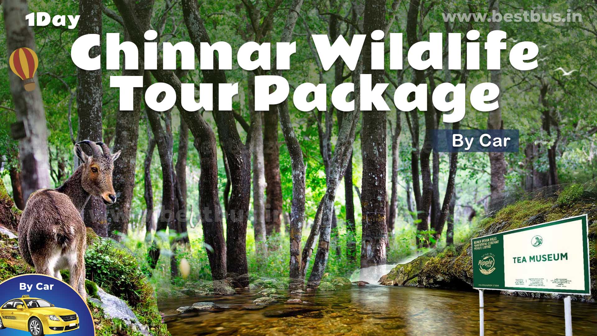 Chinnar Wildlife Tour Package