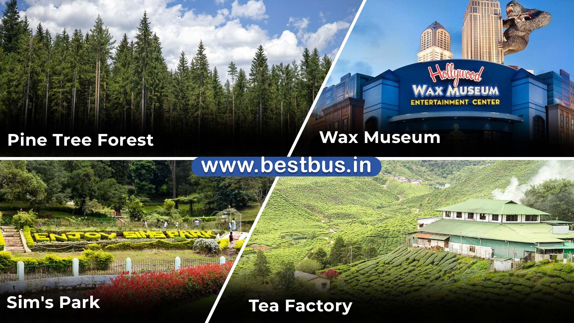 Coimbatore To Ooty Coonoor 3 Nights 4 Days Tour Package By Car 03