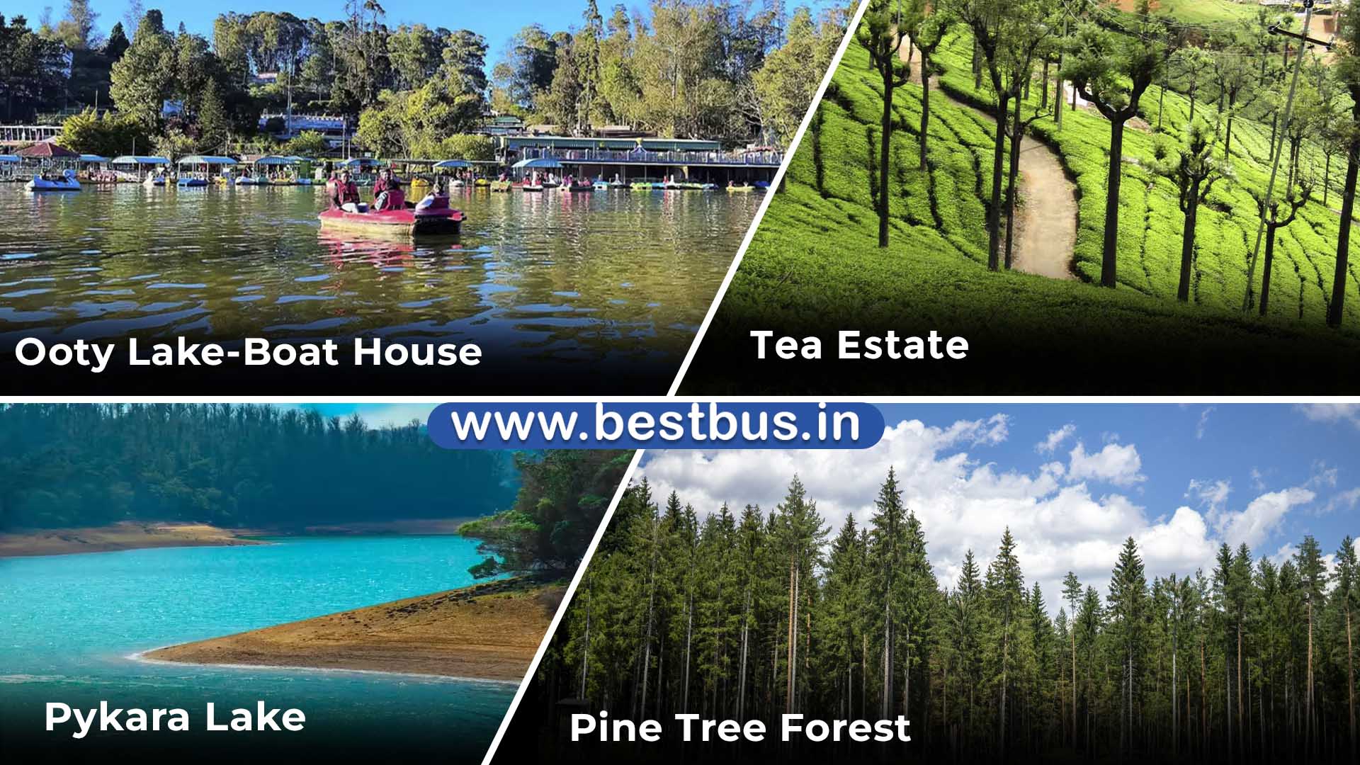 Coimbatore To Ooty Coonoor 3 Nights 4 Days Tour Package01