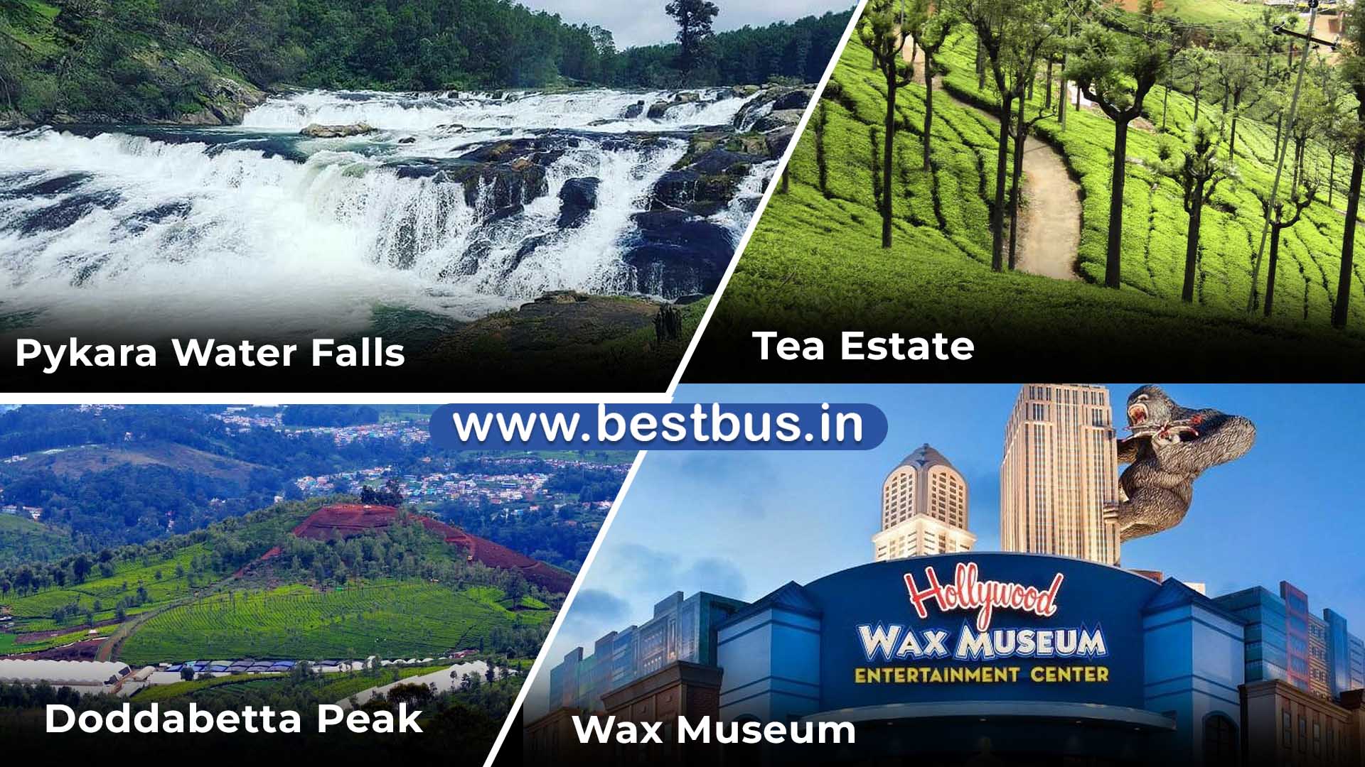 Coimbatore To Ooty Coonoor 3 Nights 4 Days Tour Package021