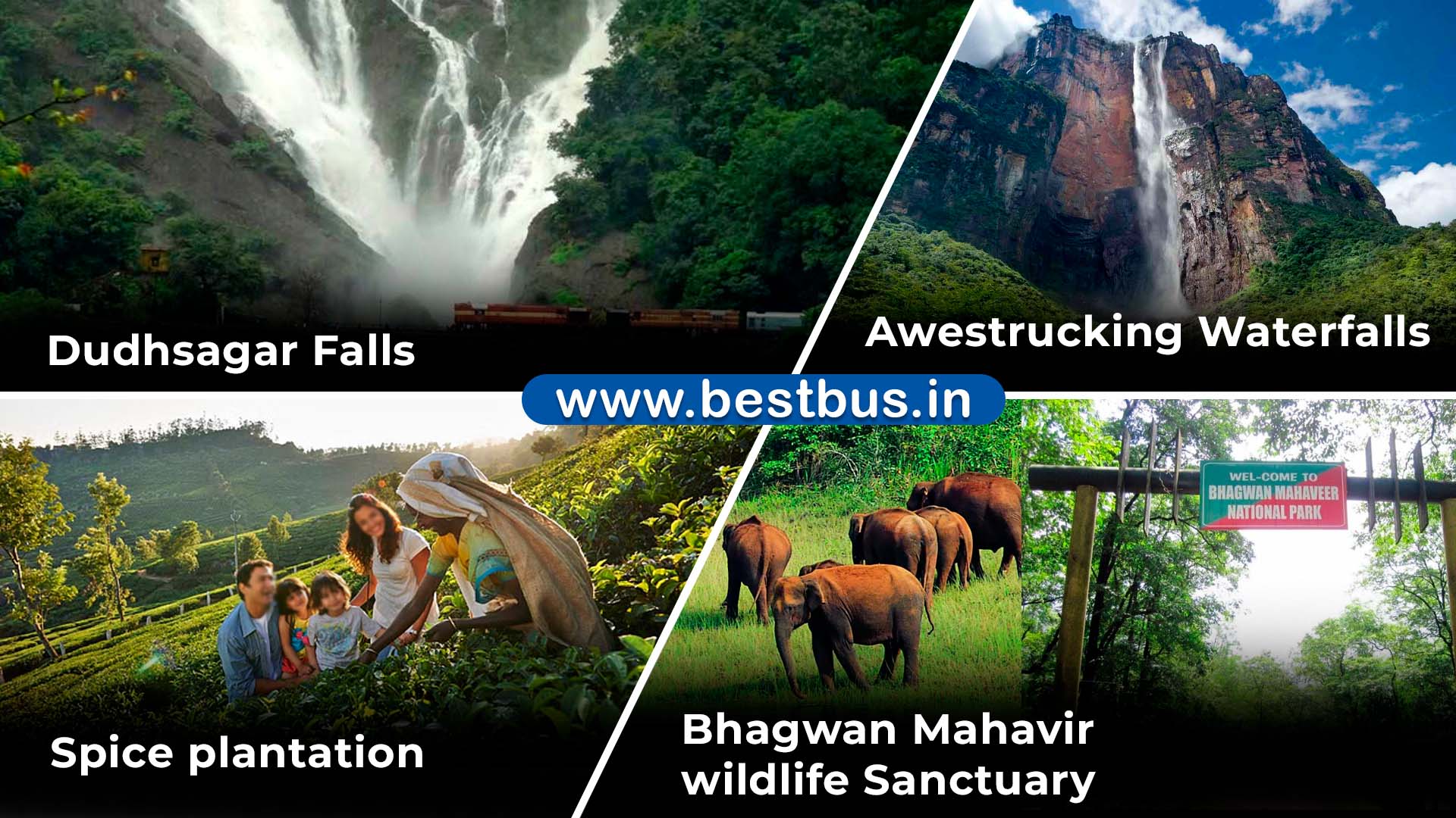 Dudhsagar Waterfalls Package From Goa