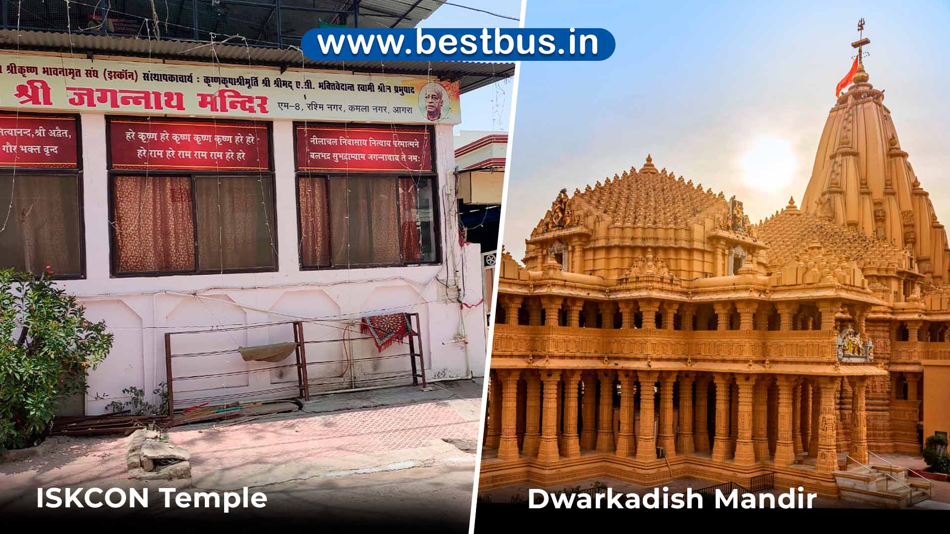 Hoho Bus Delhi To Agra Tour