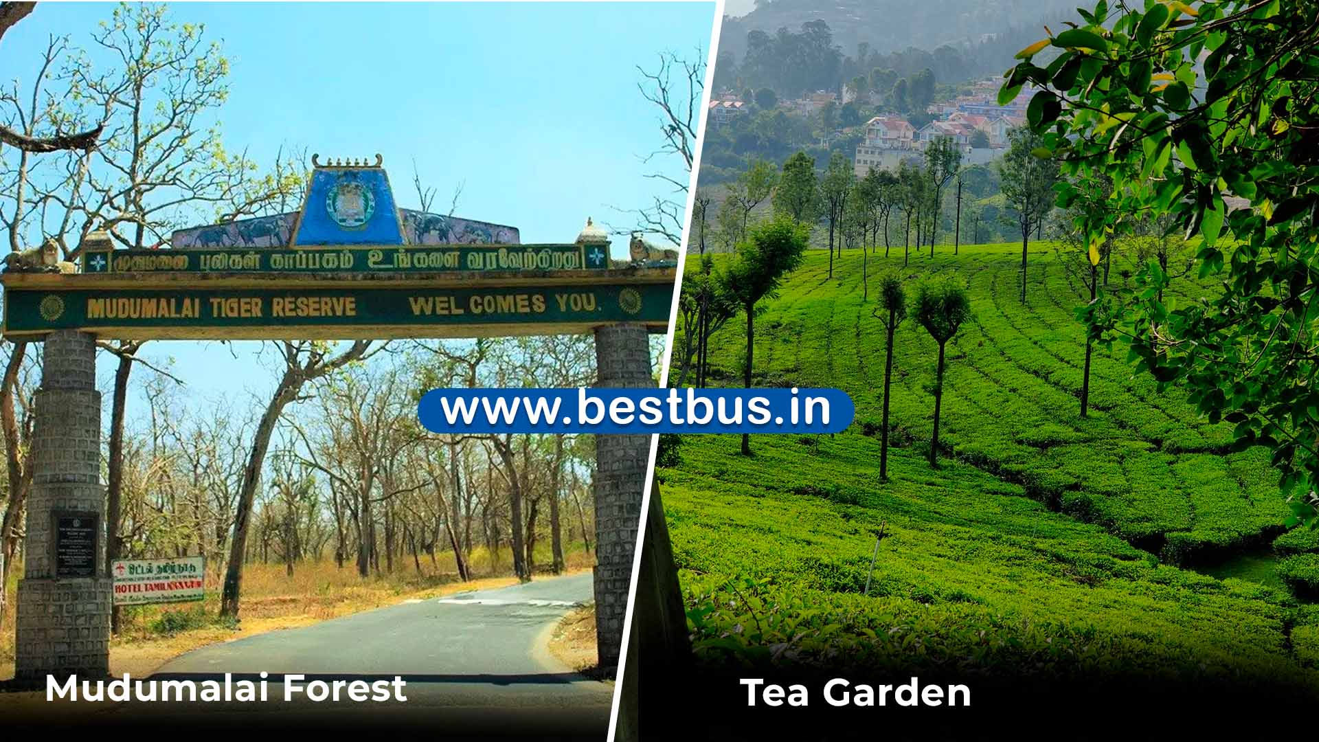Irctc Coimbatore To Ooty Tour Package By Car For 3 Days