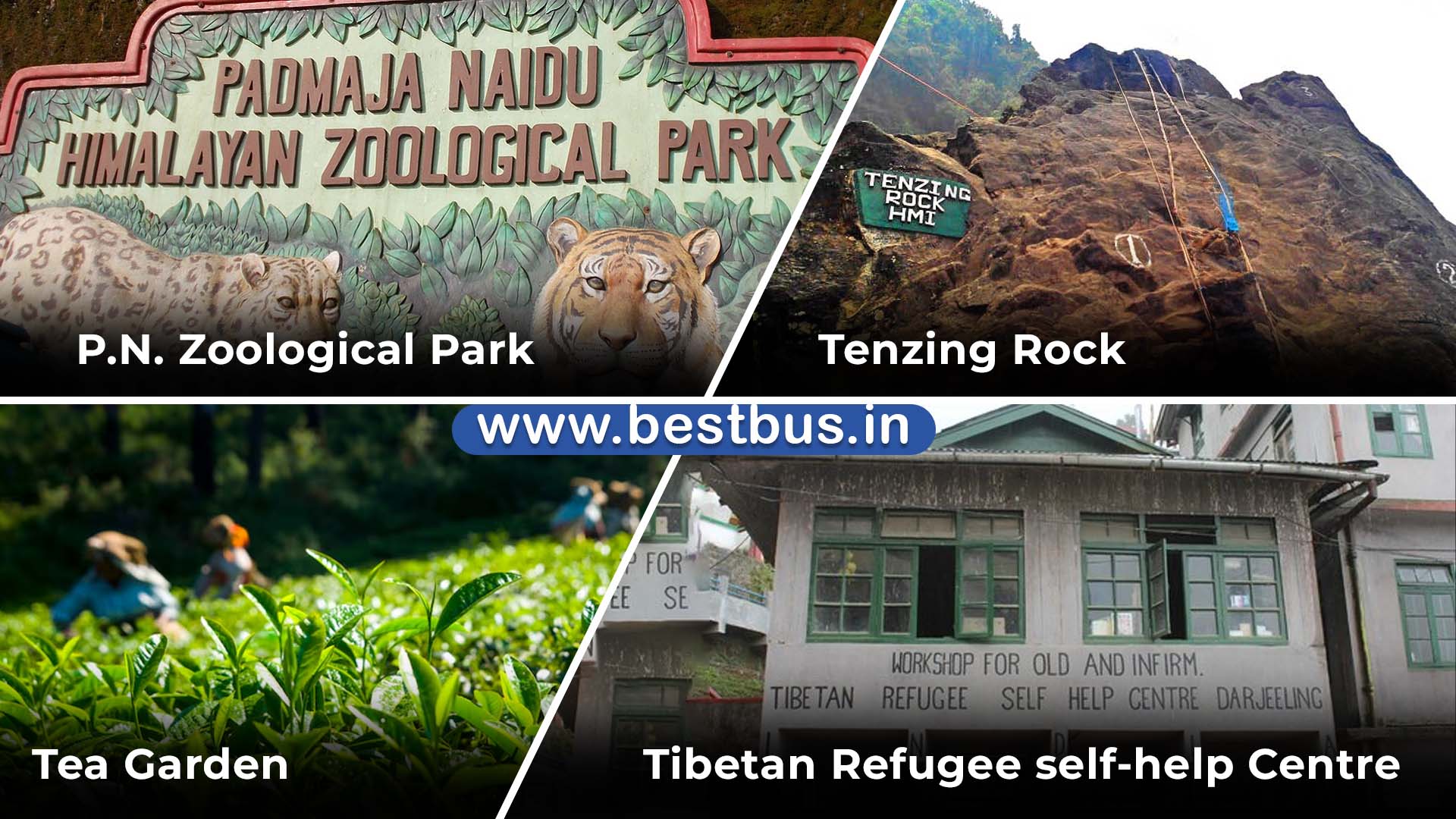 Irctc Darjeeling Tour Package From Kolkata By Train