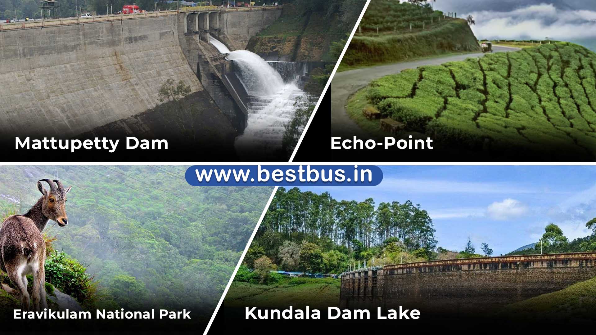 Kochi-Munnar-Thekkady-Kumarakom Tour Package From Kolkata By Flight  visited place 03