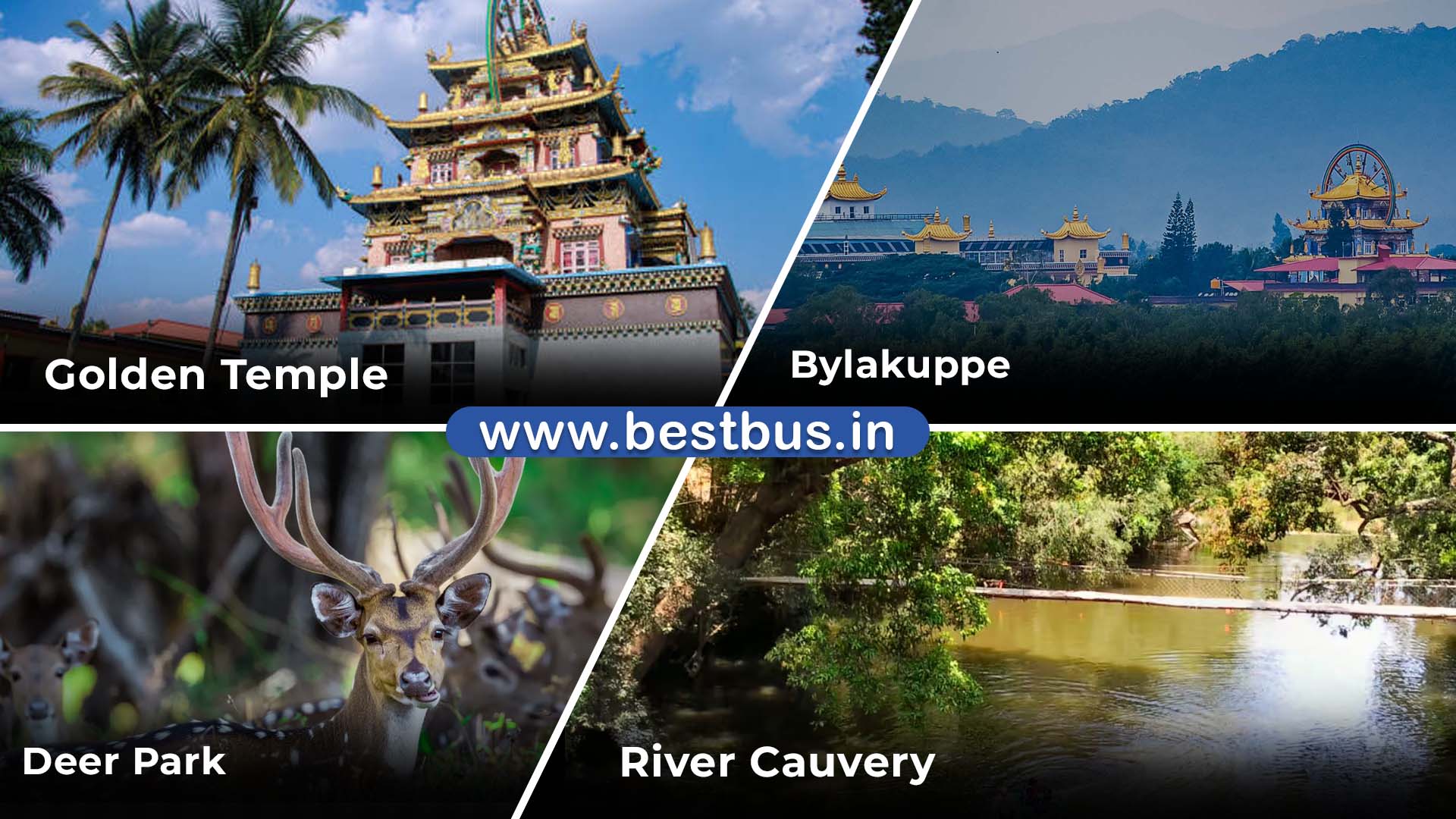 Mangalore To Coorg Wayanad 3 Nights 4 Days Tour Package By Car VISIT PLACE 3