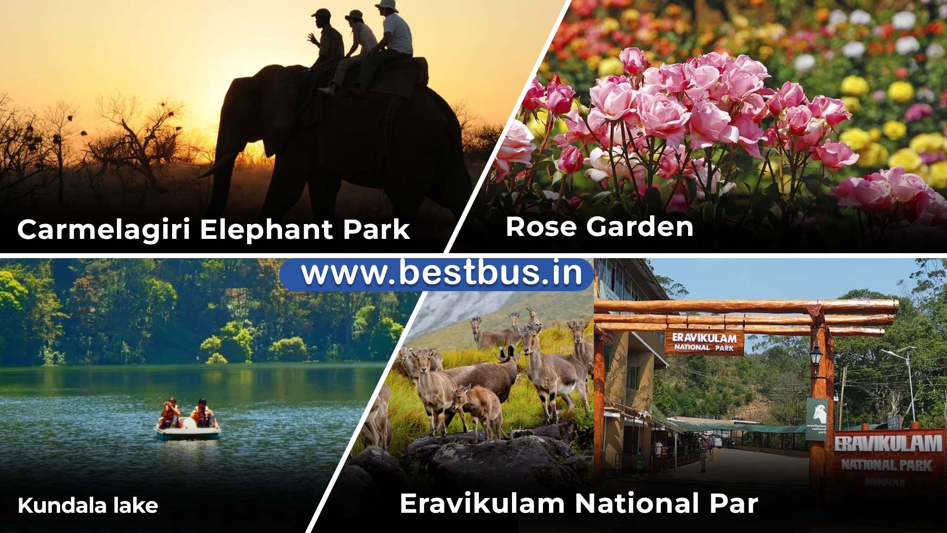 Munnar Alleppey Cochin Tour Package From Bangalore visit place 3