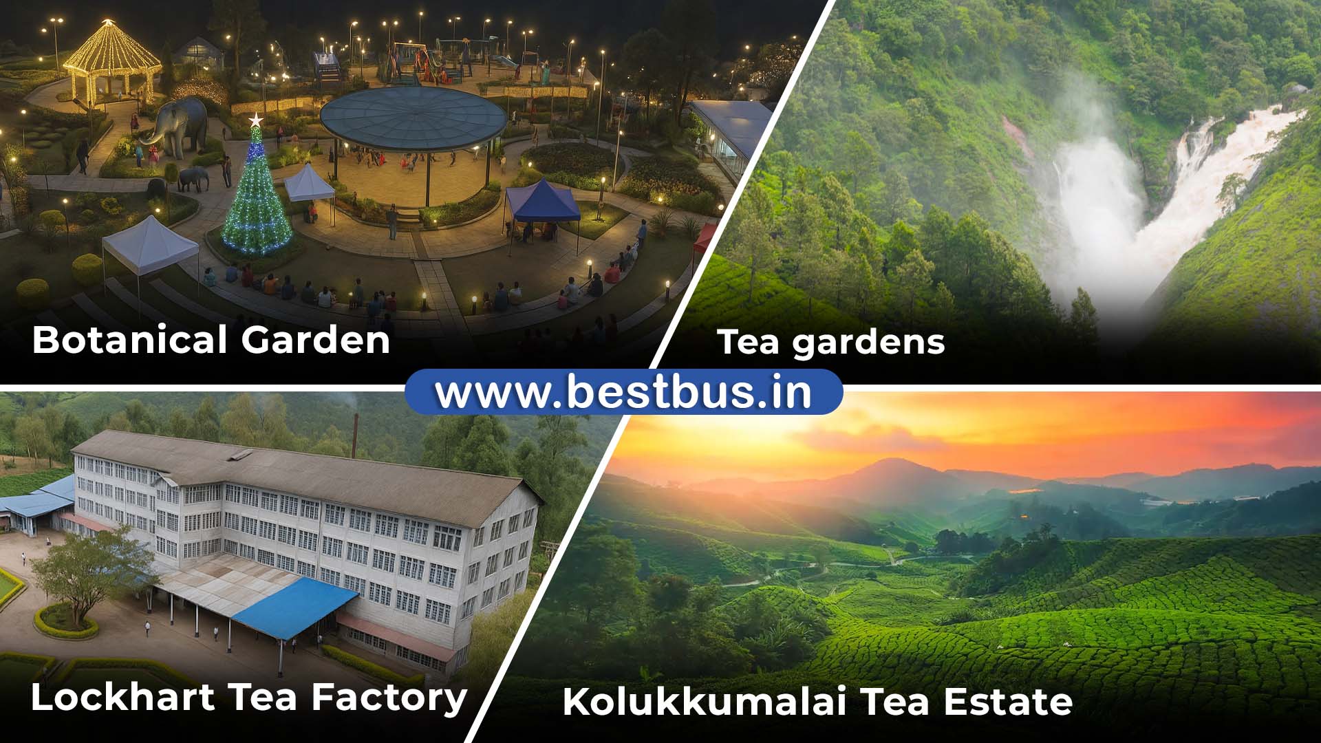 Munnar Tea Trail & Factory Tour 01