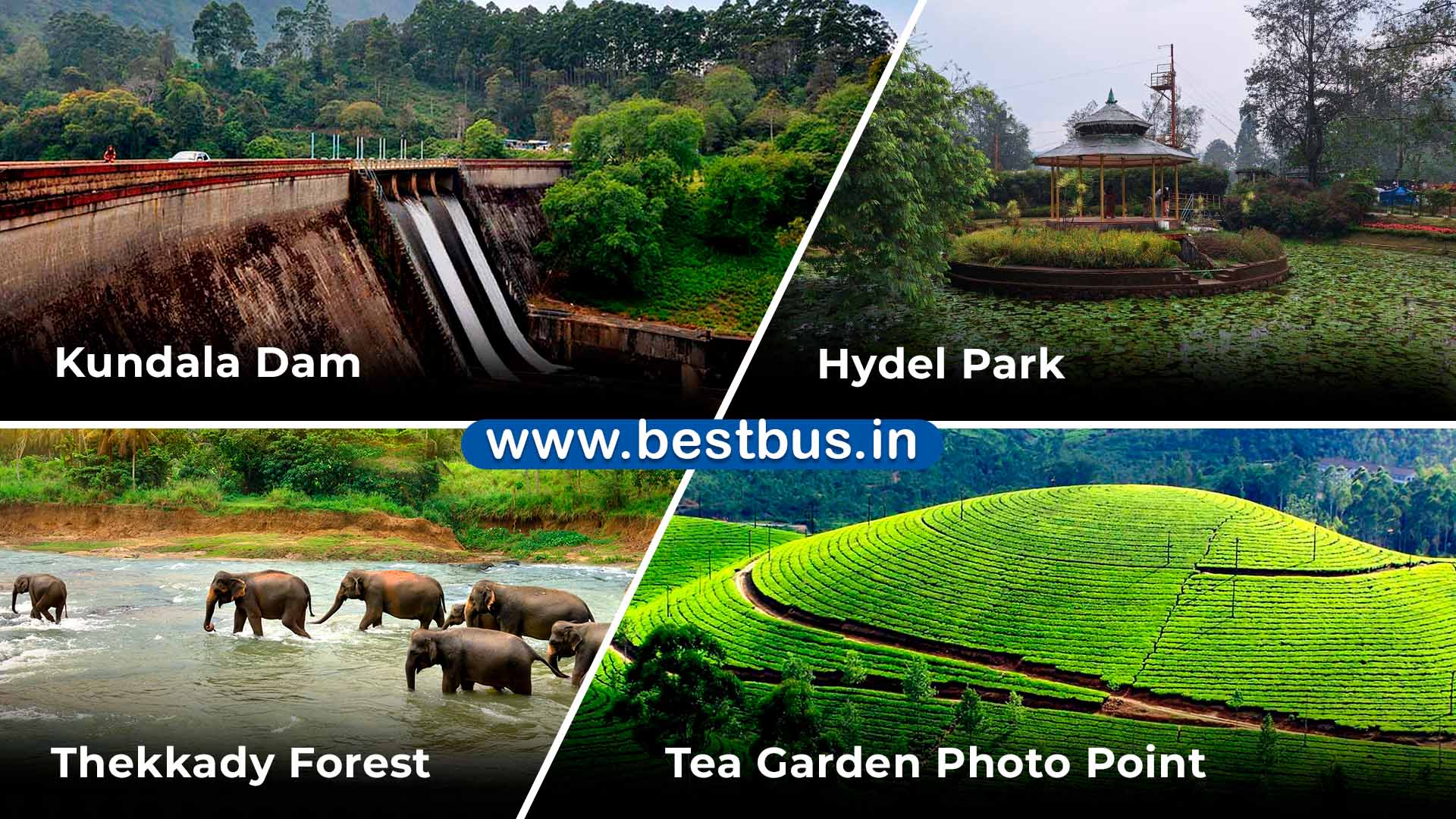 Munnar-thekkady-kumarakom Tour Package From BangaloreMunnar-thekkady-kumarakom Tour Package From Bangalore