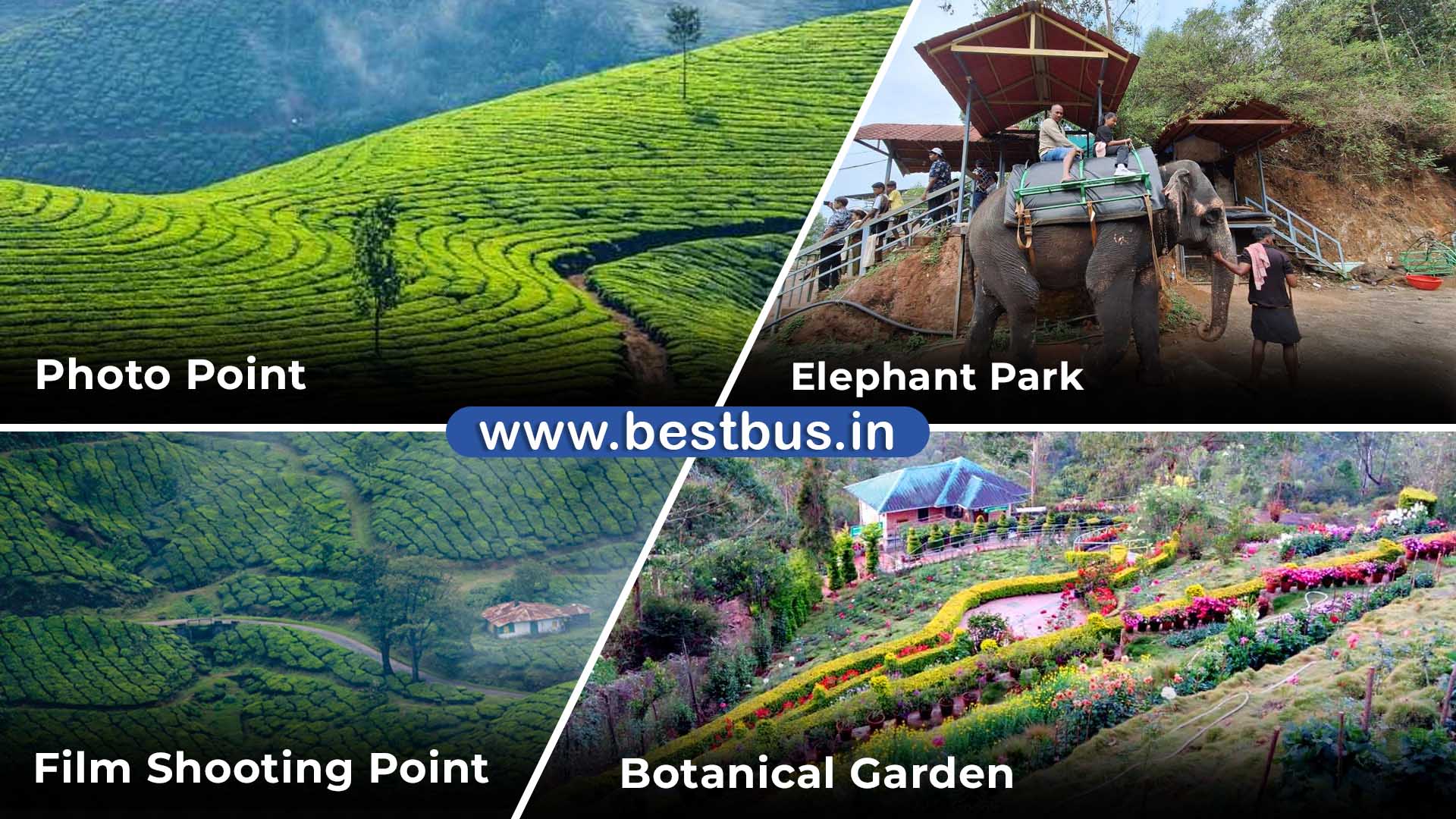 Munnar Thekkady Tour Package From Bangalore visit place 2