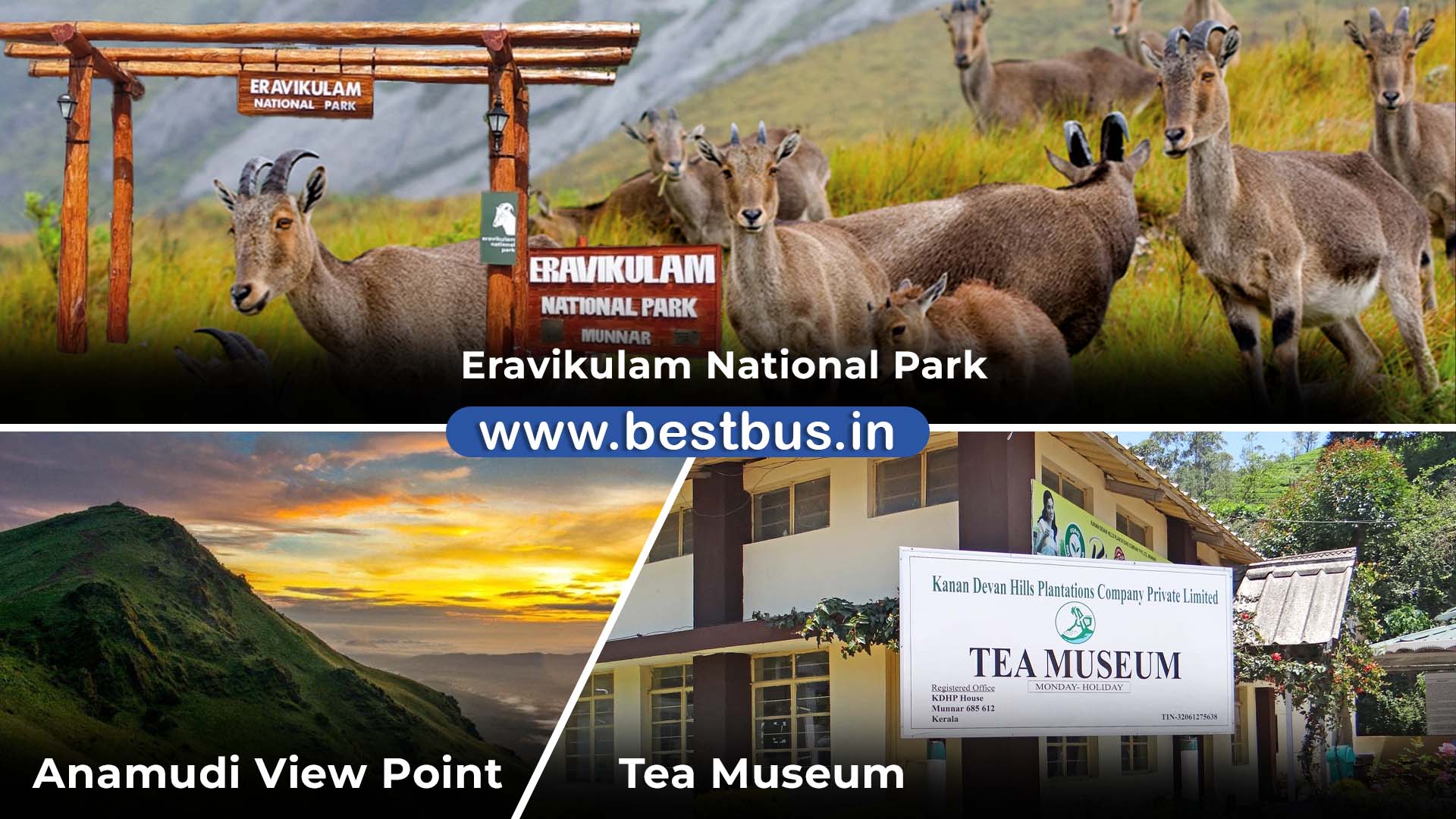 Munnar Tour Package From Bangalore visit place 3