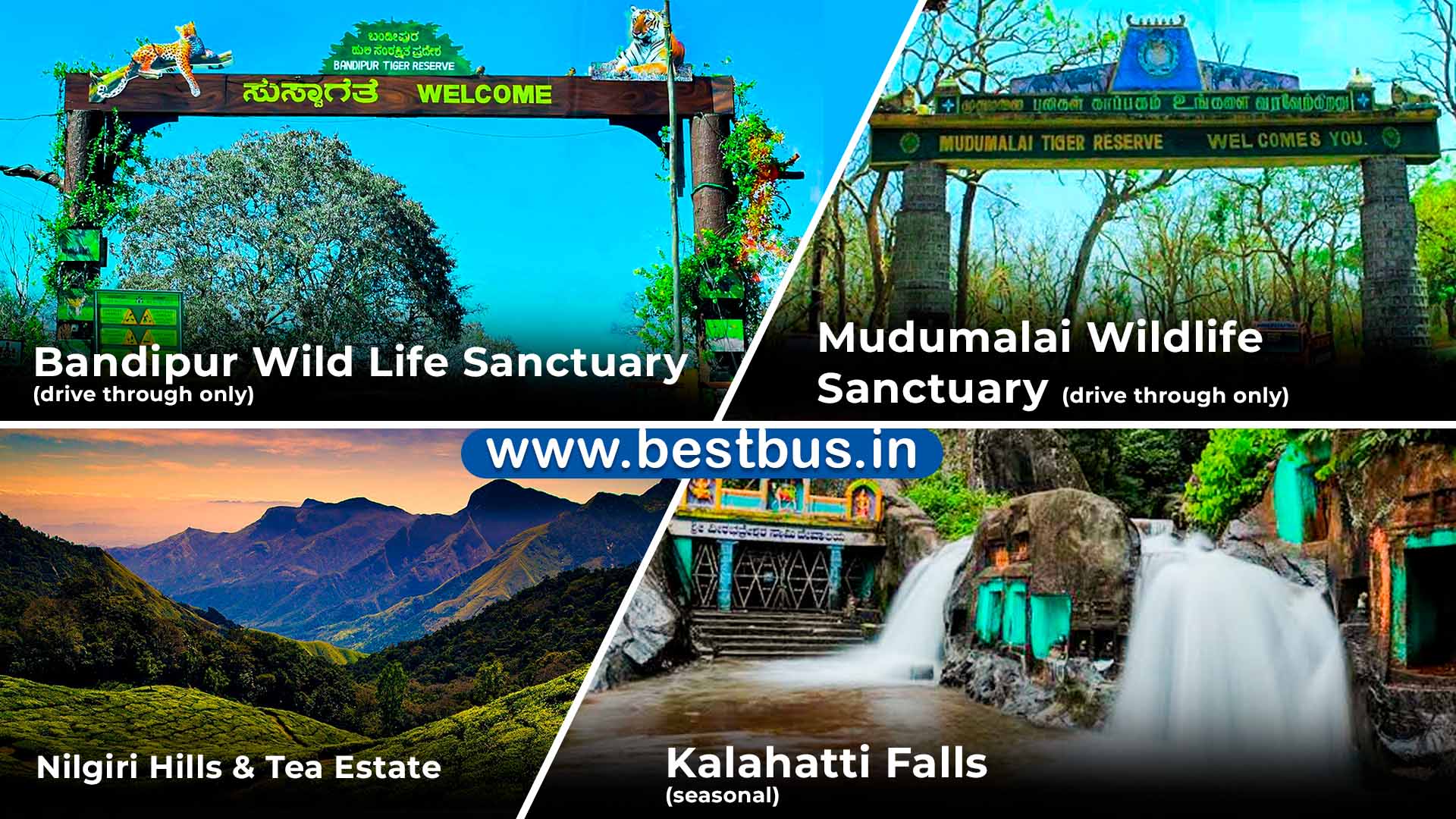 Mysore-Ooty-Coonoor-Kodaikanal Tour Package from Bangalore