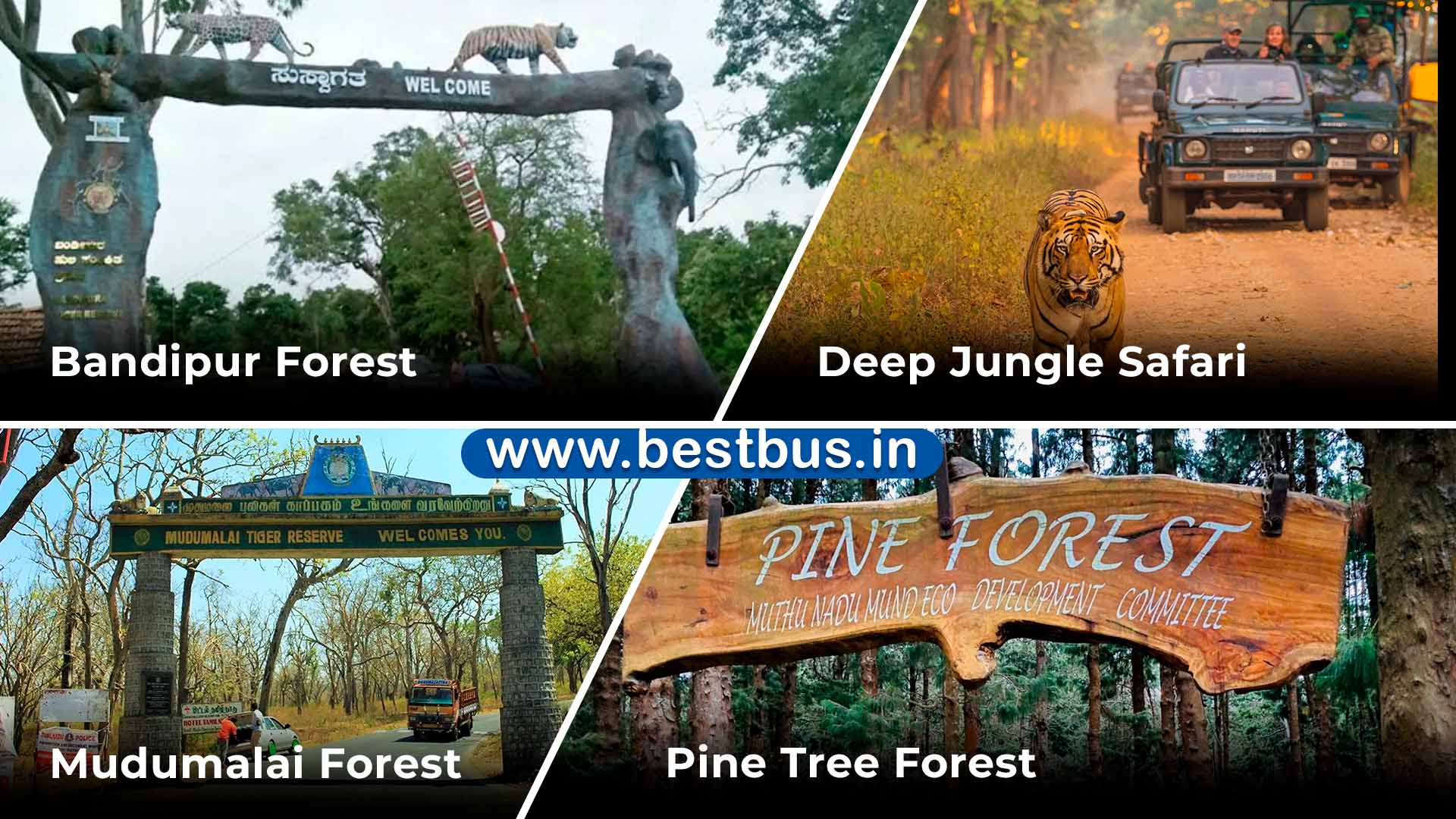 Mysore-Ooty-Coonoor Tour Package from Bangalore