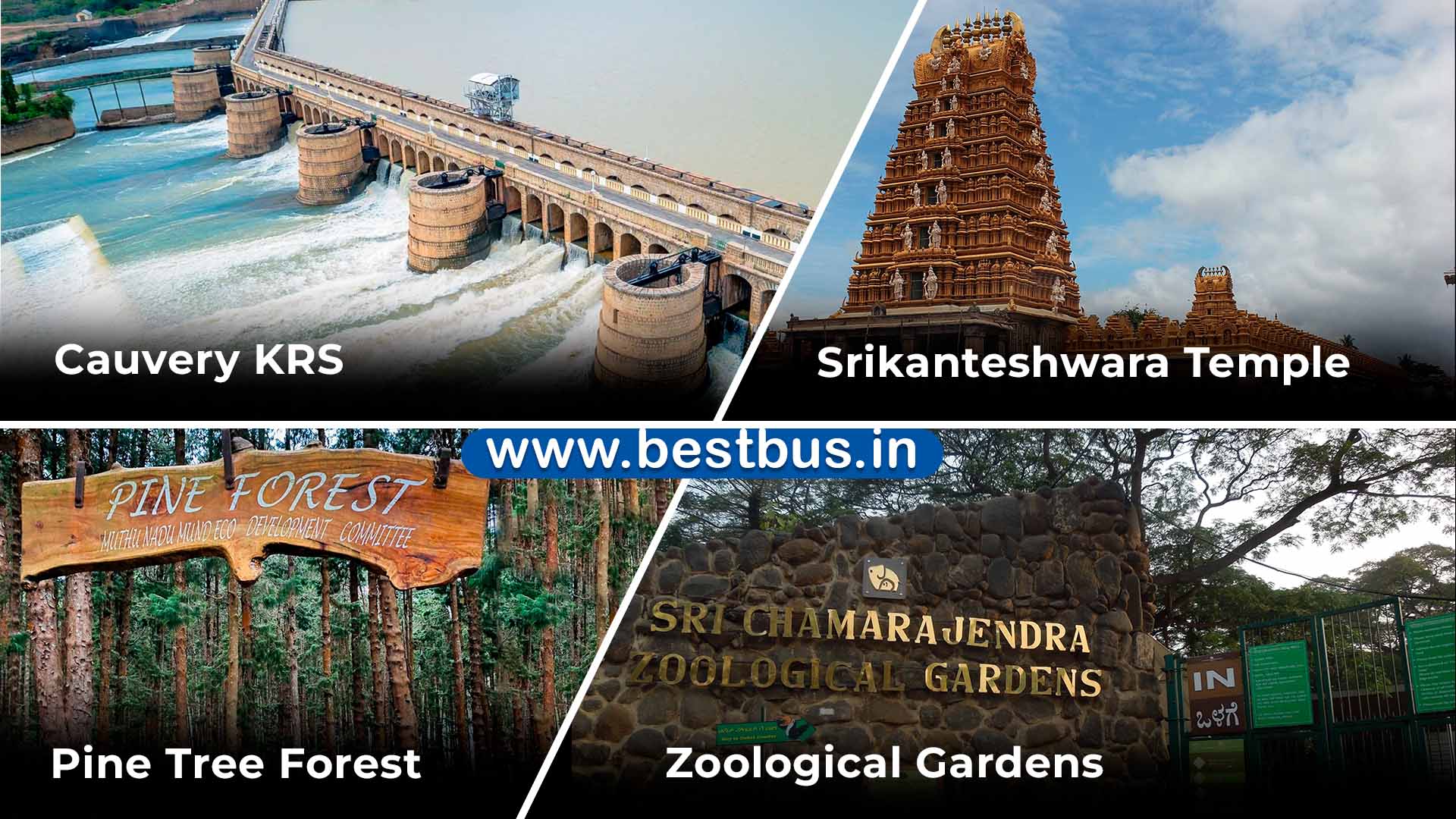 Mysore-Ooty-Doddabetta Tour Package from Bangalore by Bus