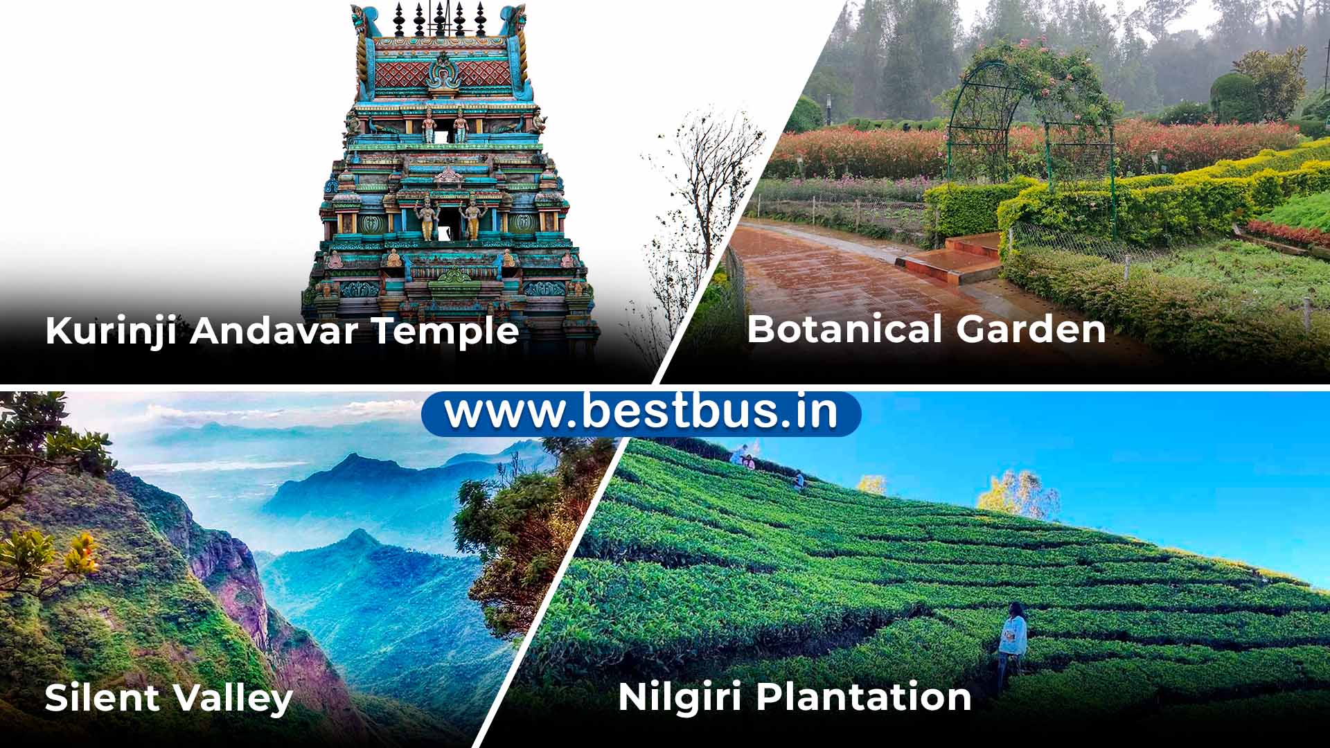 Mysore-Ooty-Kodaikanal Tour Package from Bangalore