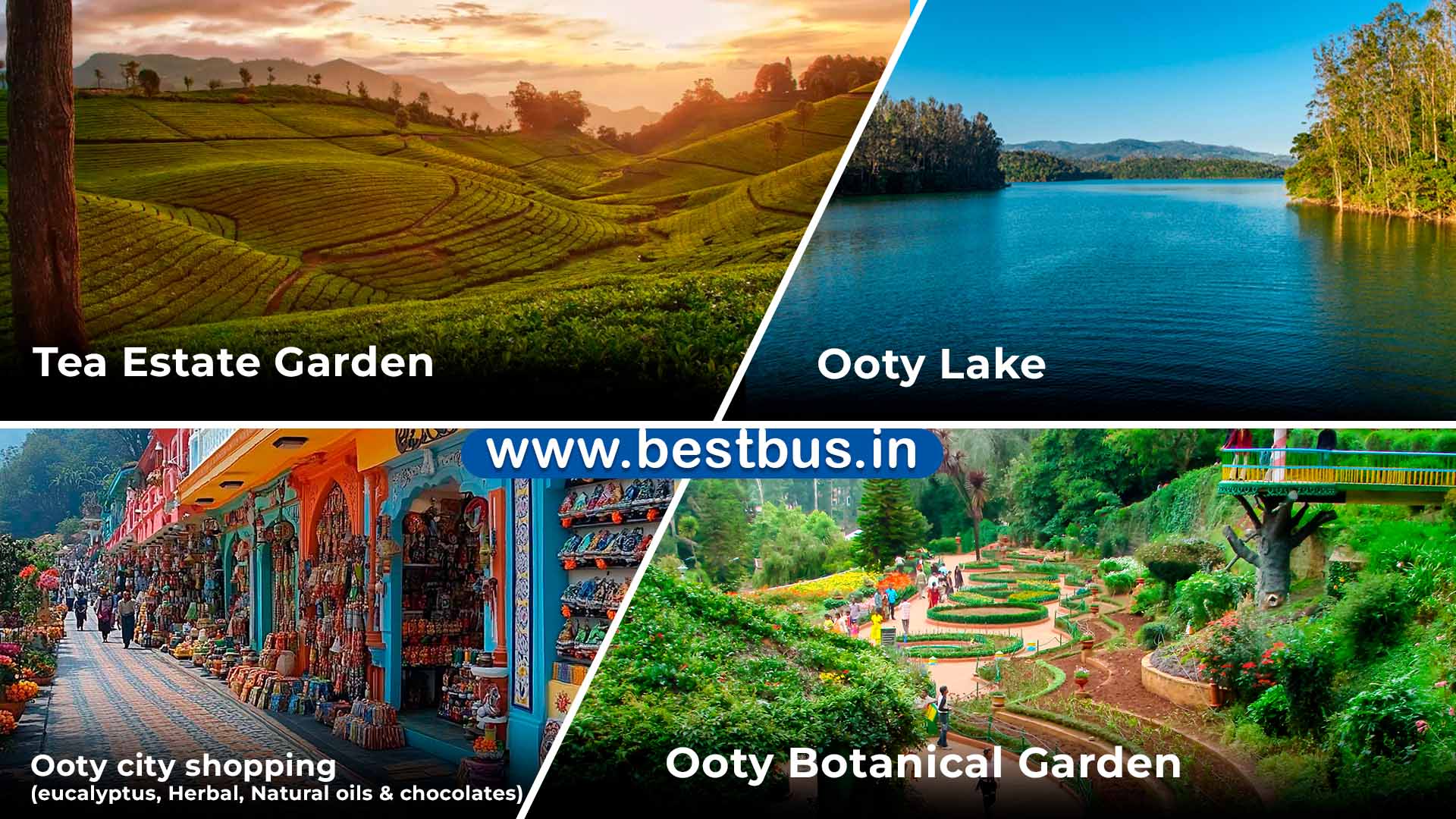 Mysore-Ooty-Kodaikanal Tour Package from Bangalore