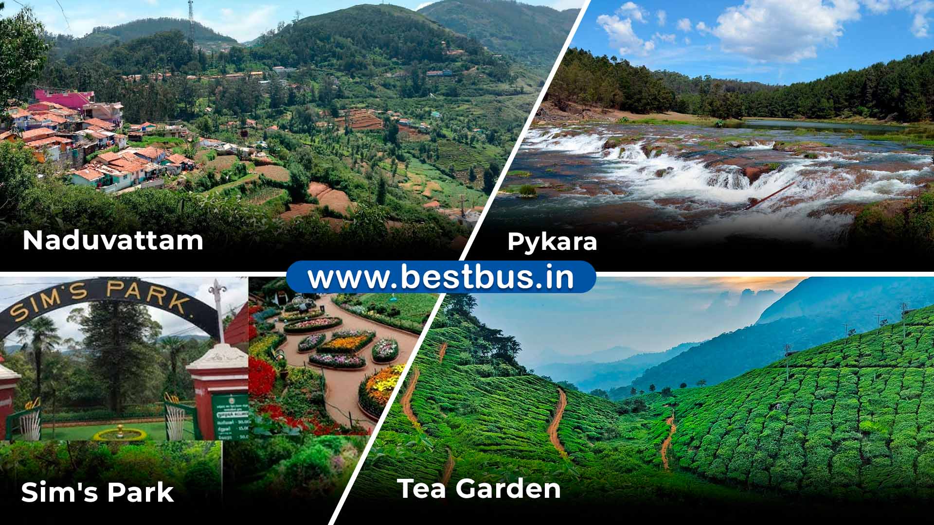 Mysore To Mysore-ooty-coonoor 2 Nights-3 Days Tour Package By Car