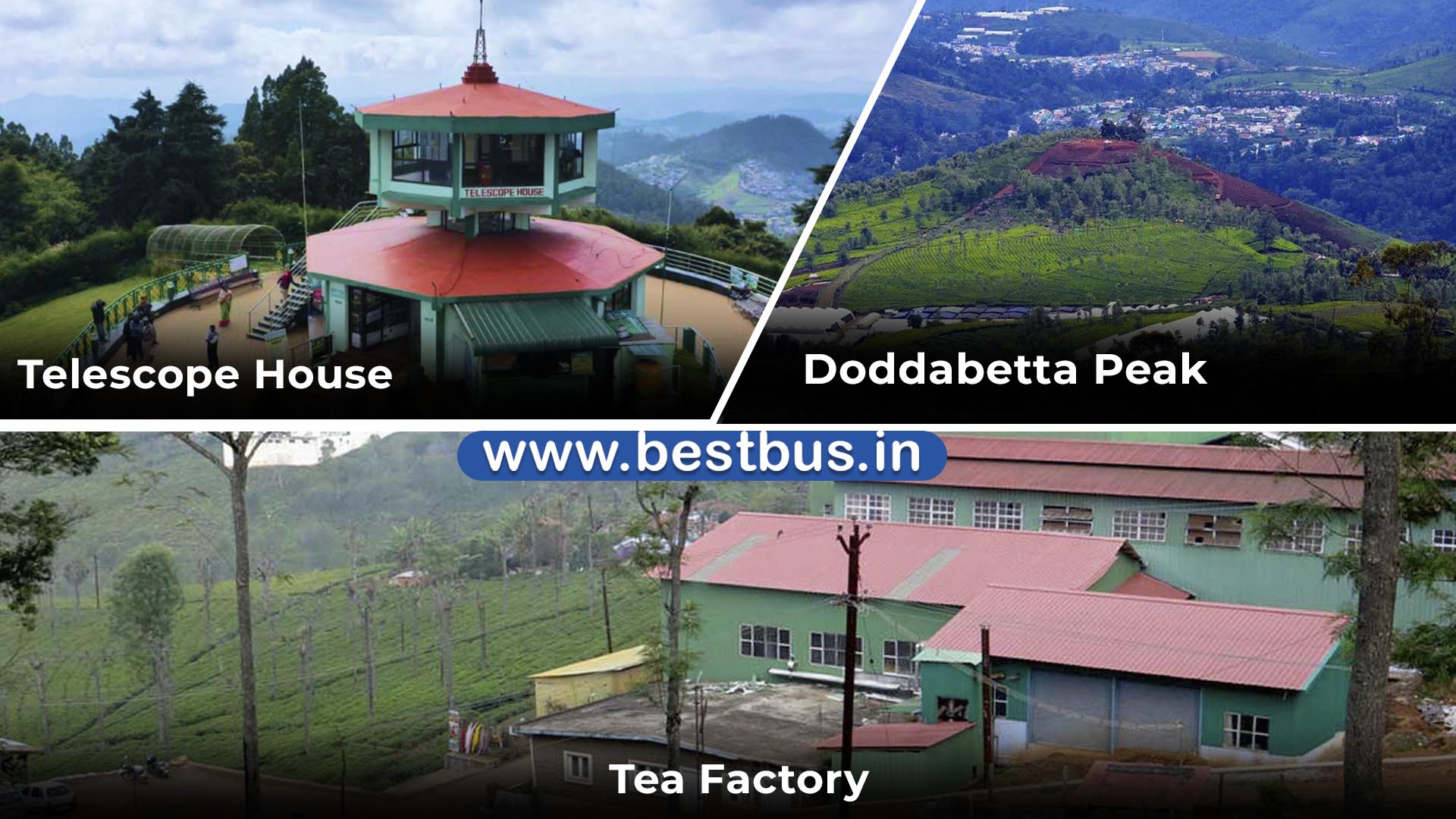 Mysore To Mysore Ooty Coonoor Filmy Chakkar 5 Nights 6 Days Tour Package By Car 06