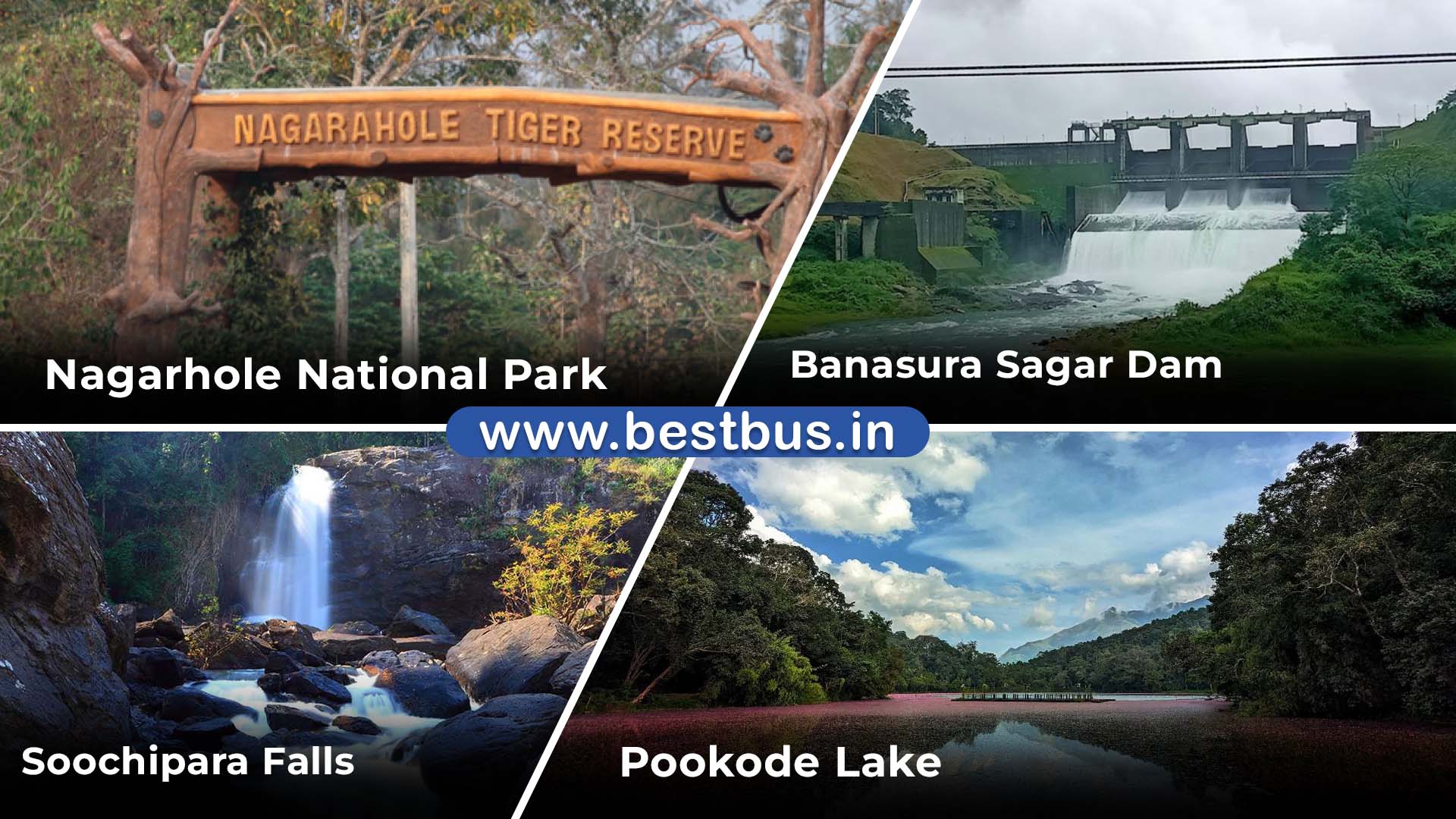 Mysore To Mysore Wayanad Nagarahole Tiger Reserve Coorg visit place 4